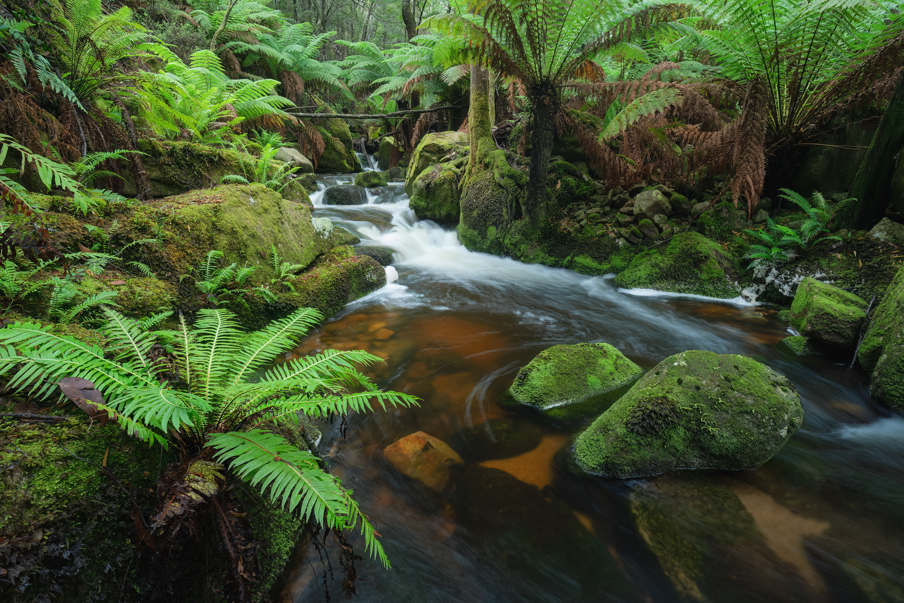 Cascade River