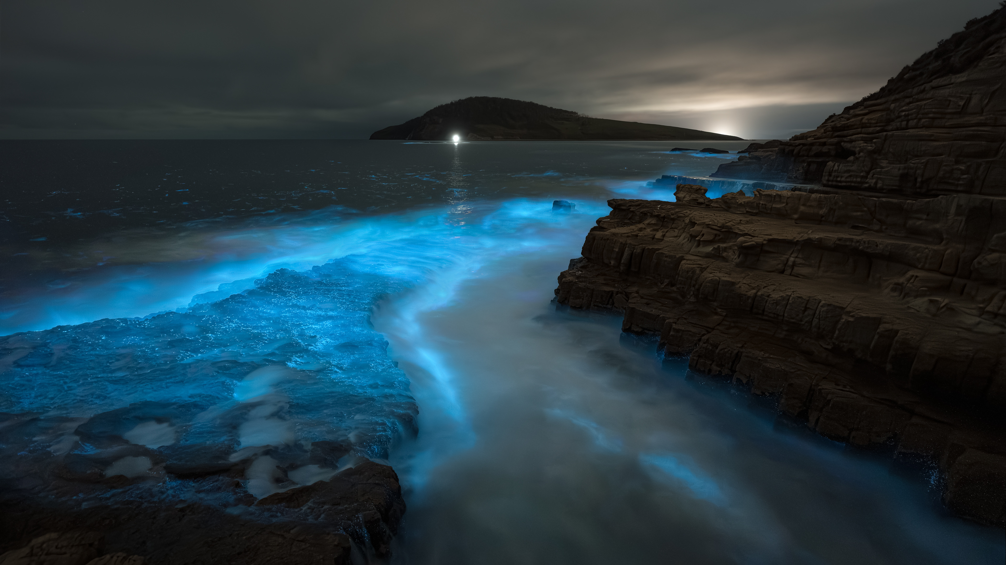 Bioluminescent Waves, South Arm