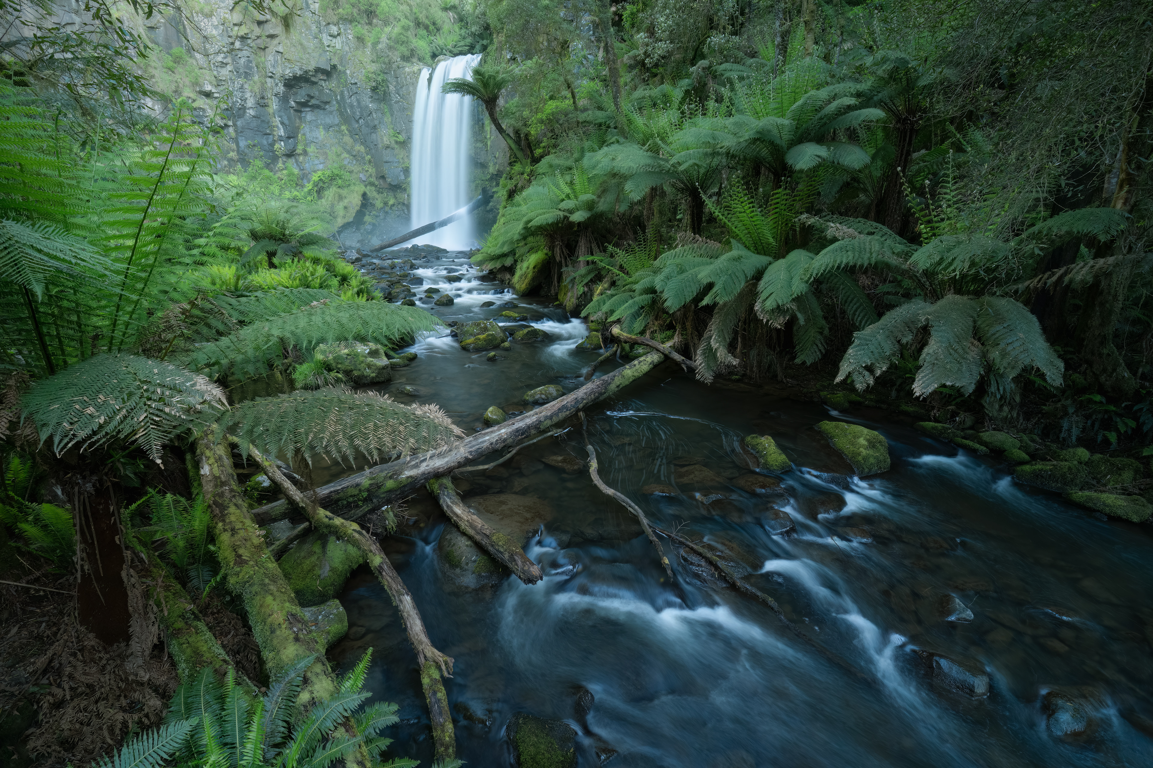 A beautiful large waterfall in rainforest setting with fern-fringed creeks.