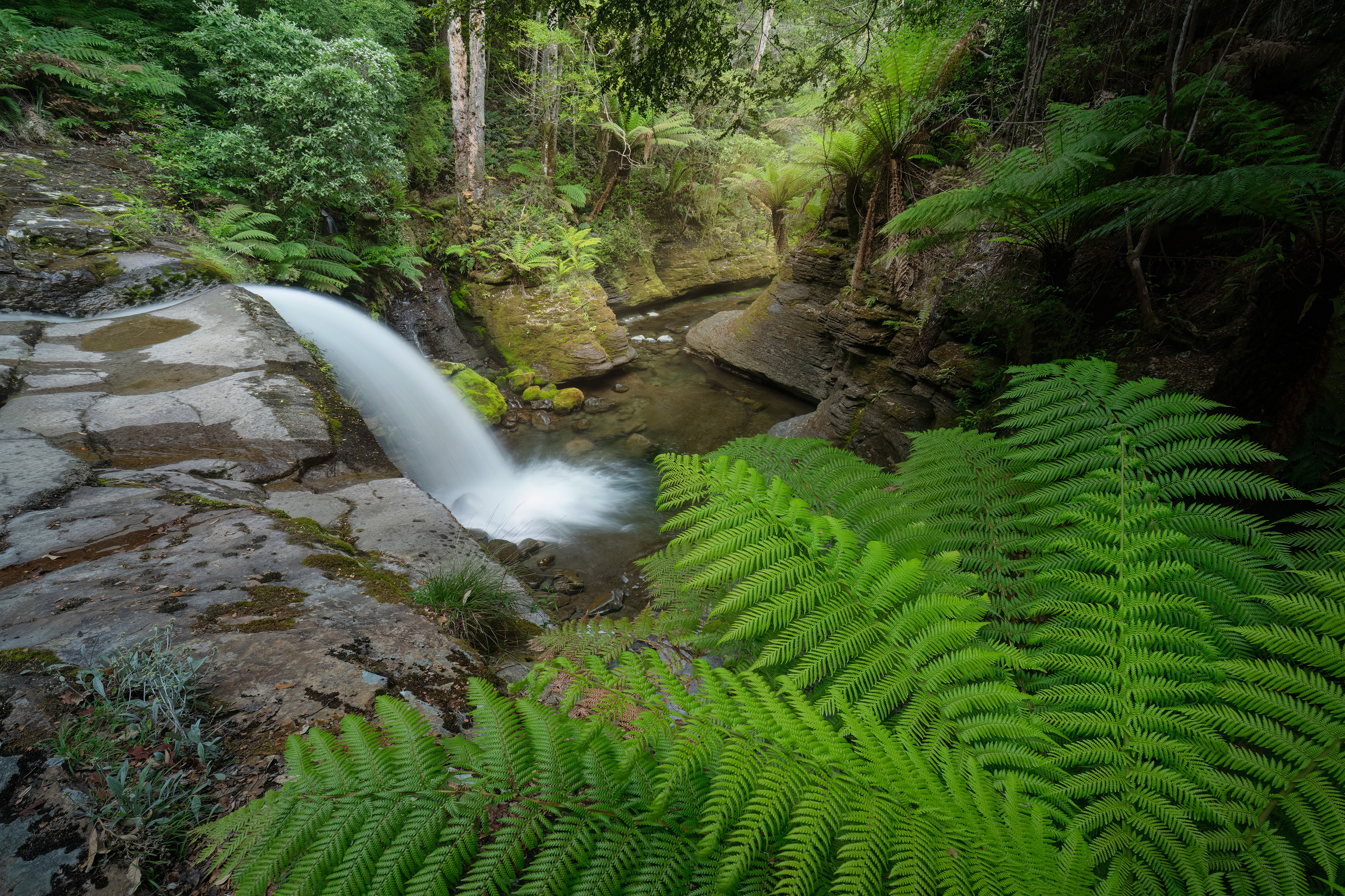 Mid Liffey Falls