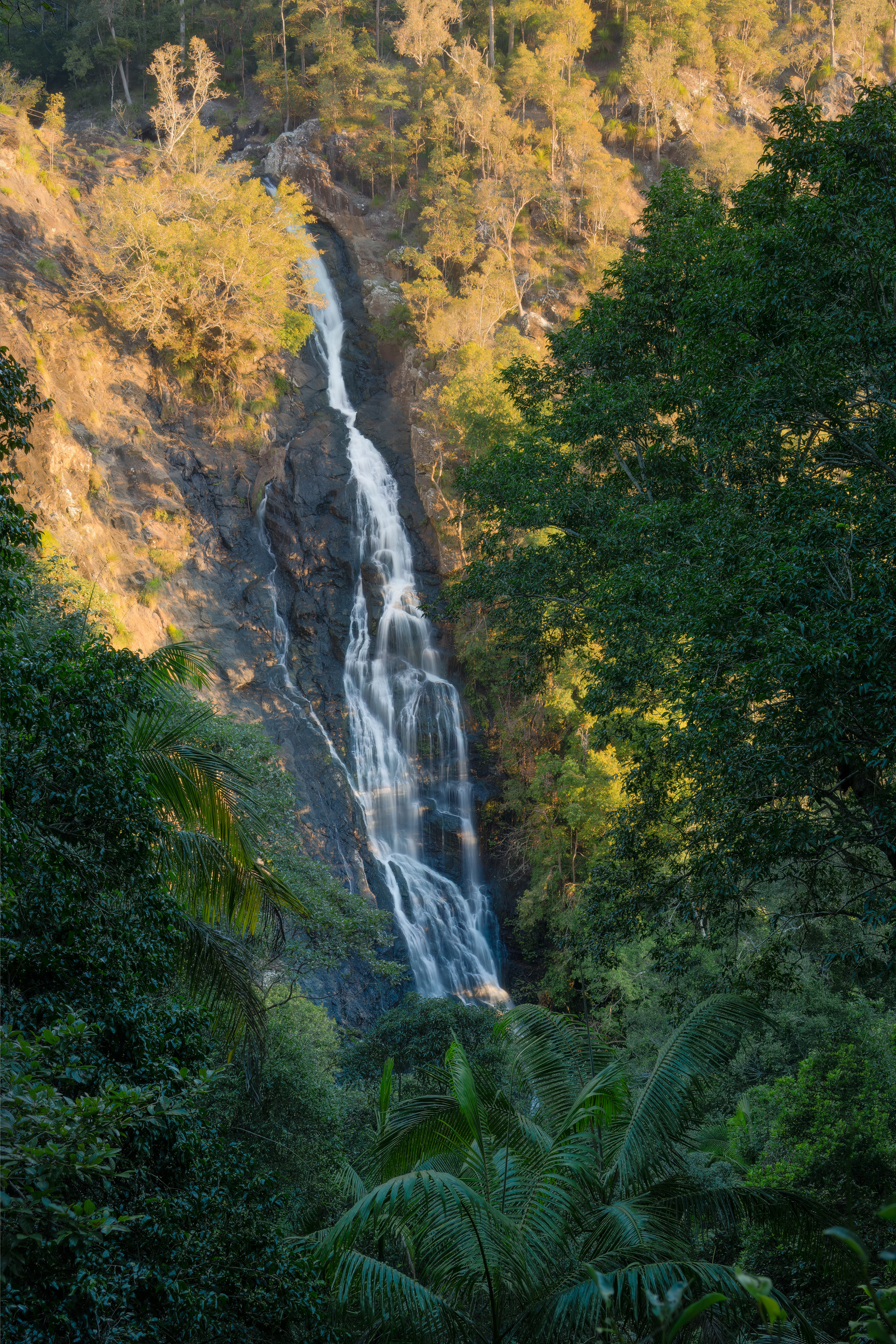 Kondalilla Falls