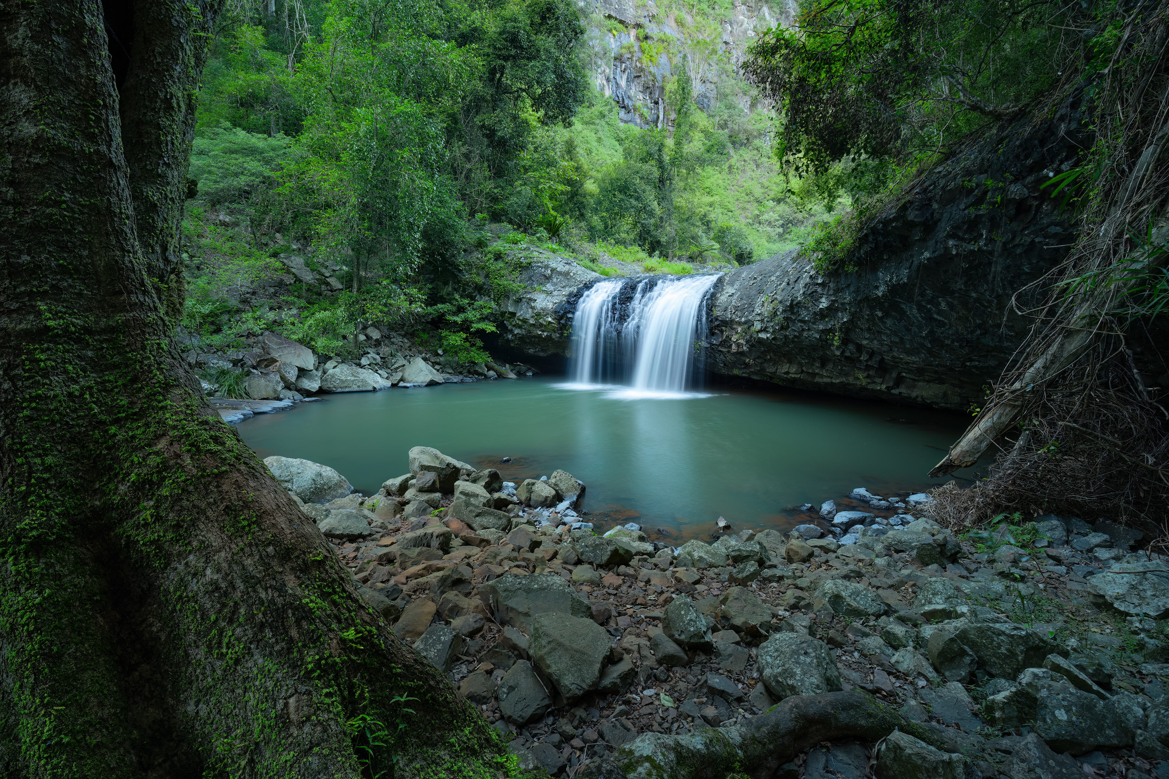 Back Creek Beechmont