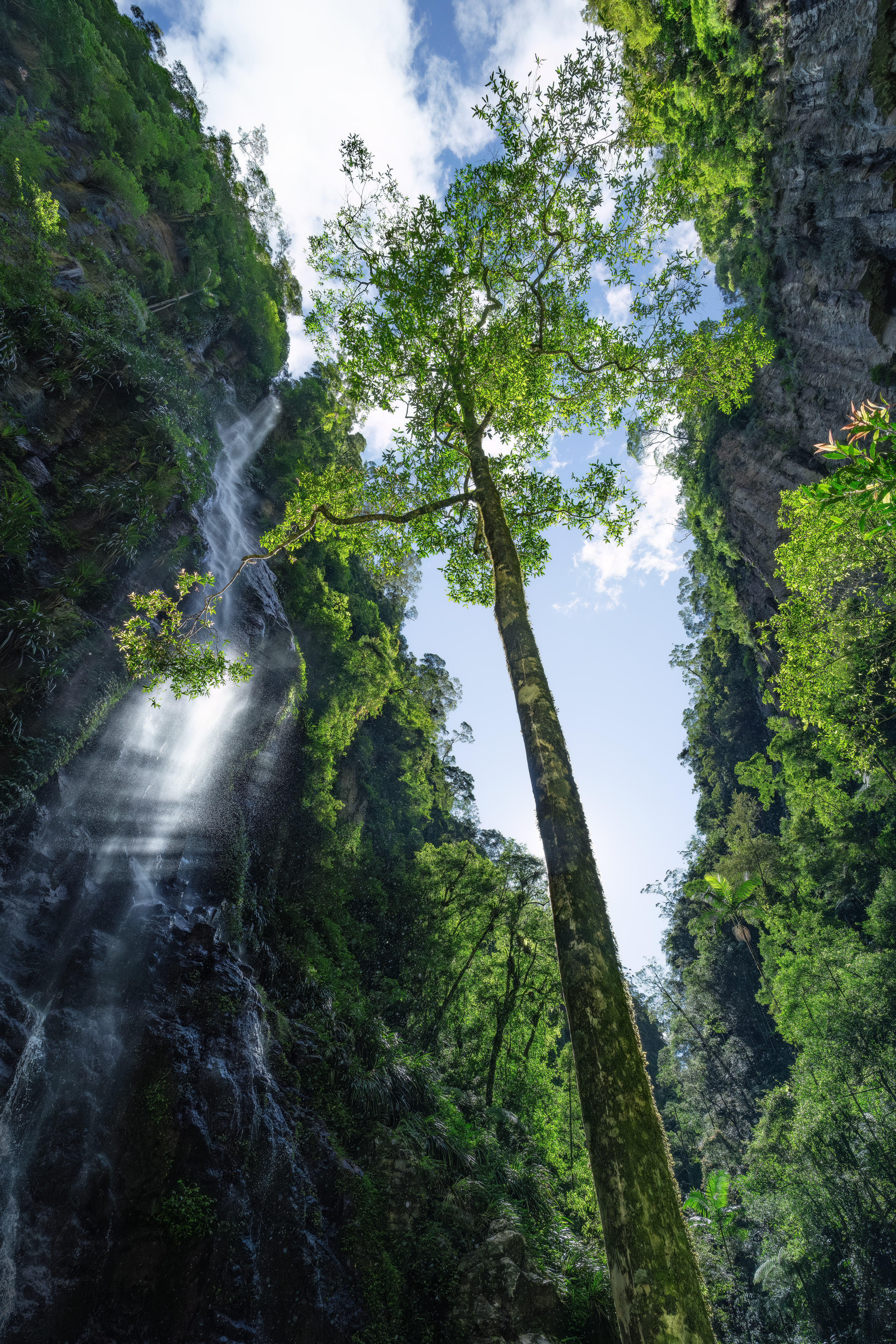 Yarrbilgong Falls 01