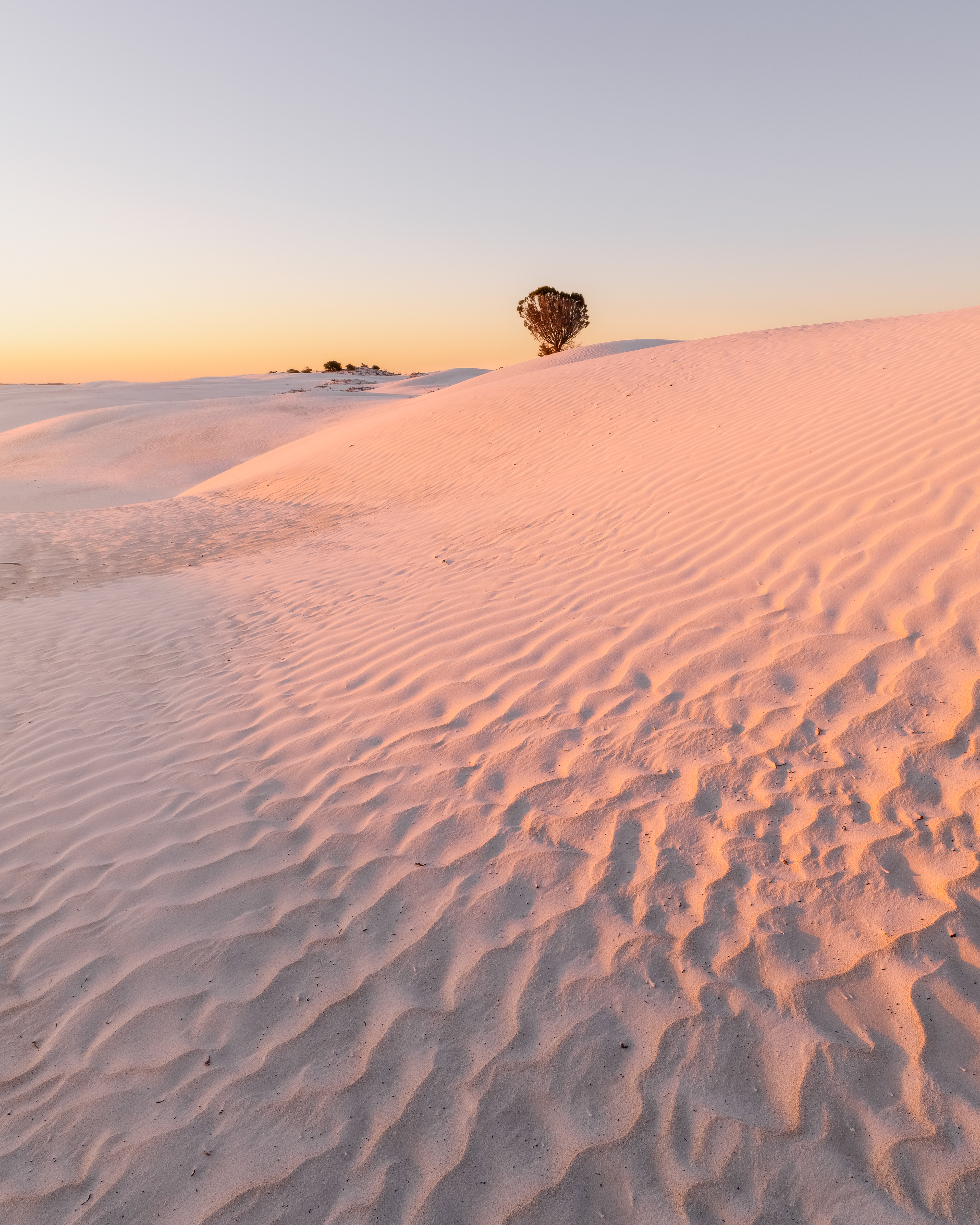 Nambung Dunes 03