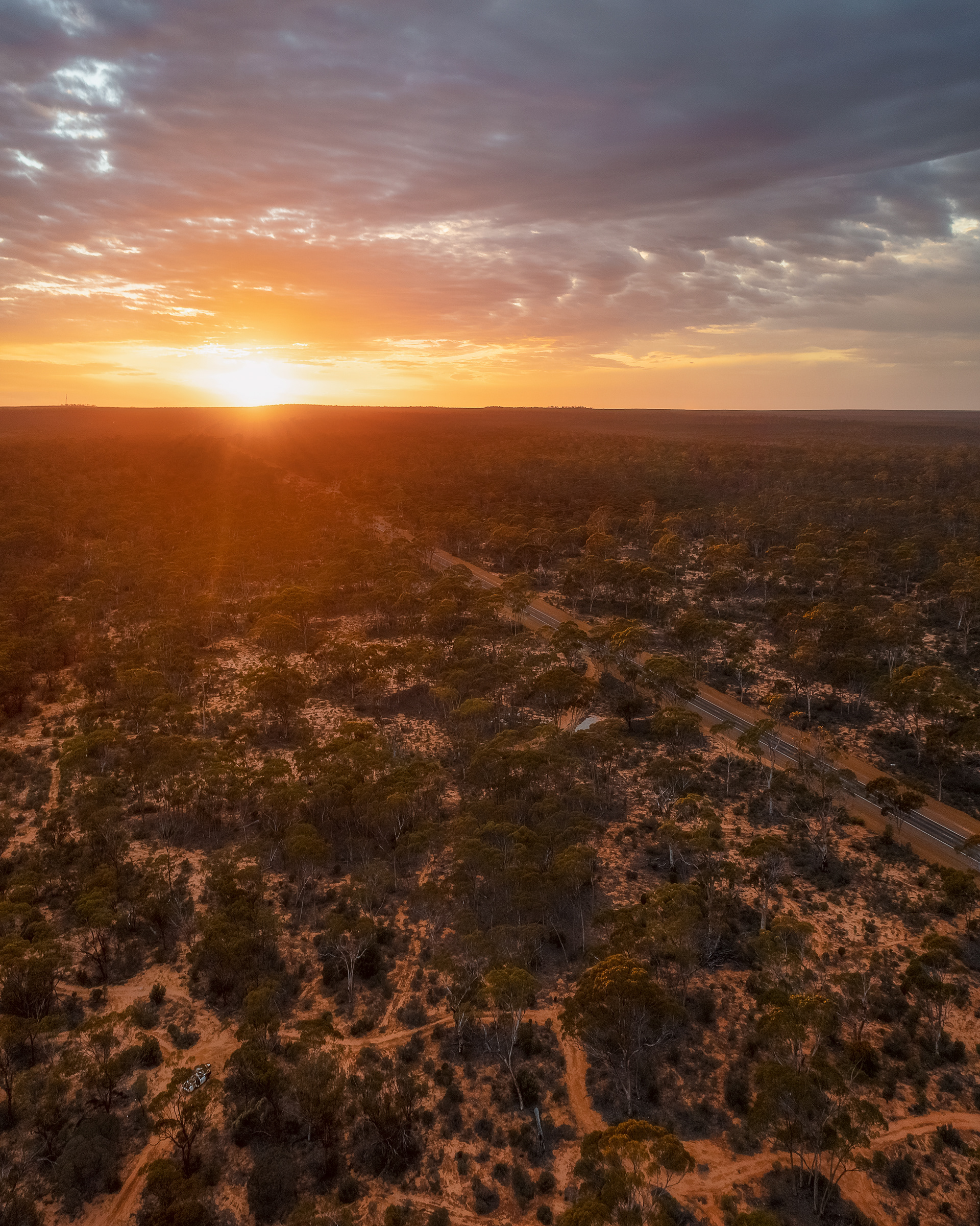 Great Western Woodlands 02