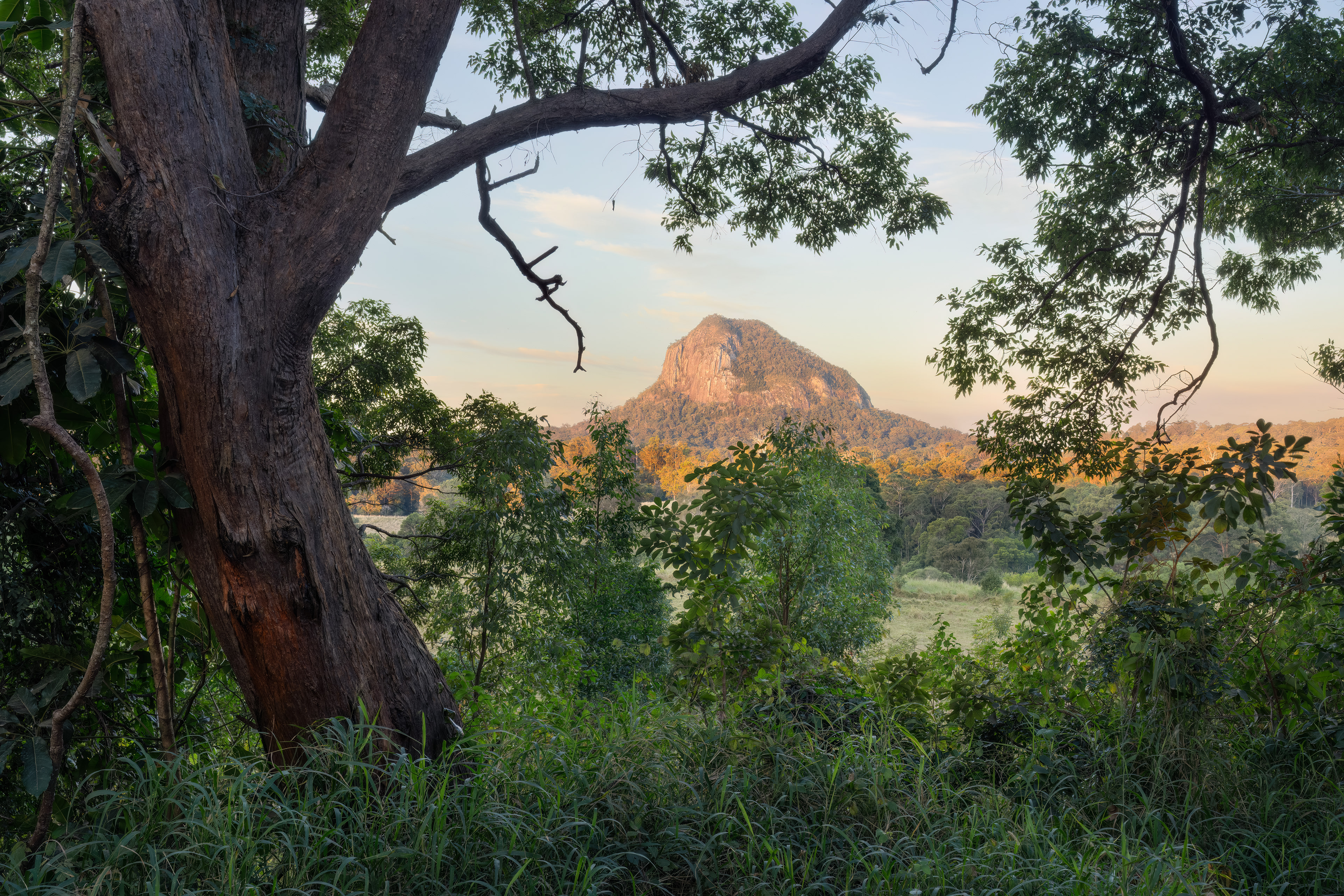 Mount Cooroora