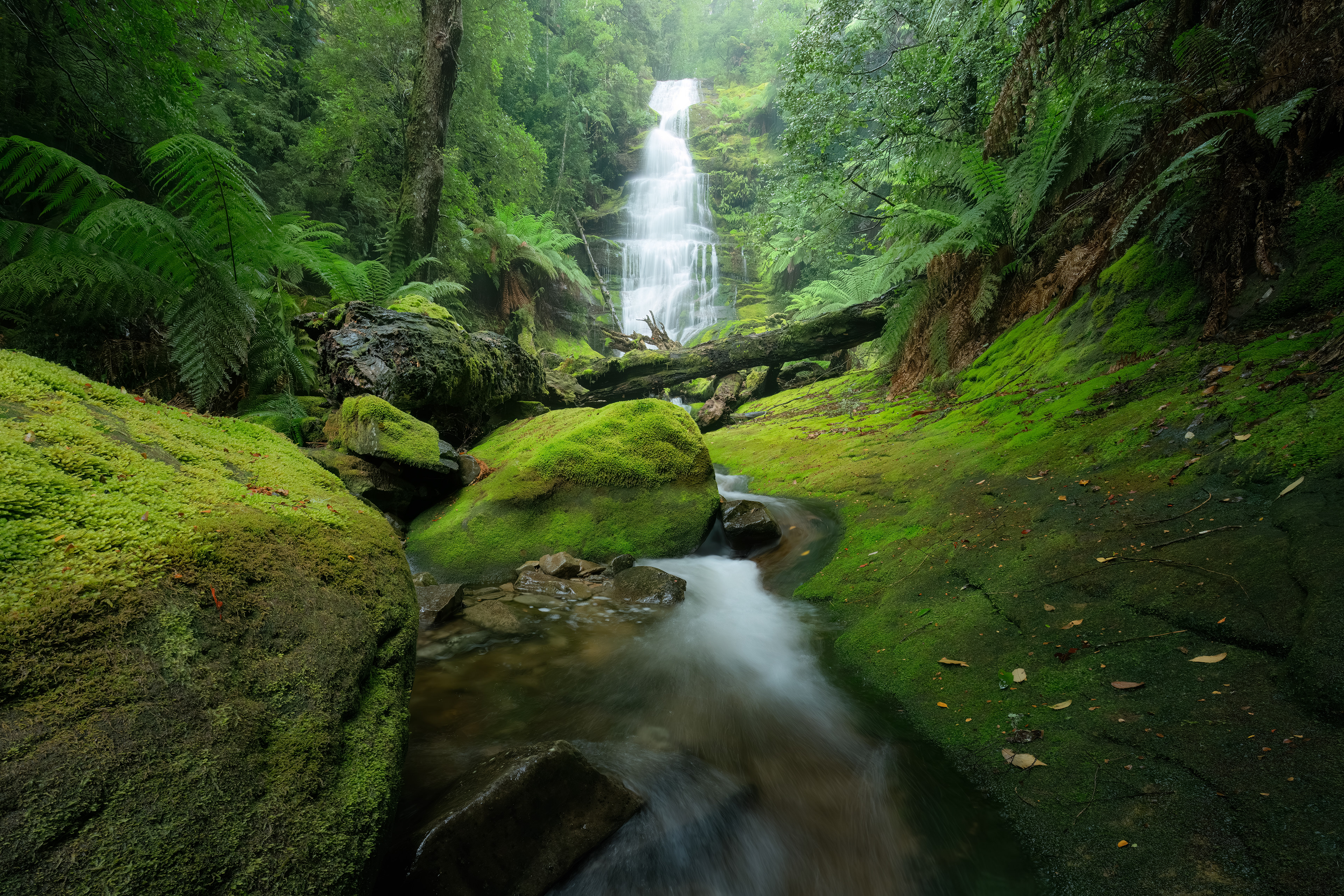Bastion Cascades (2:3)