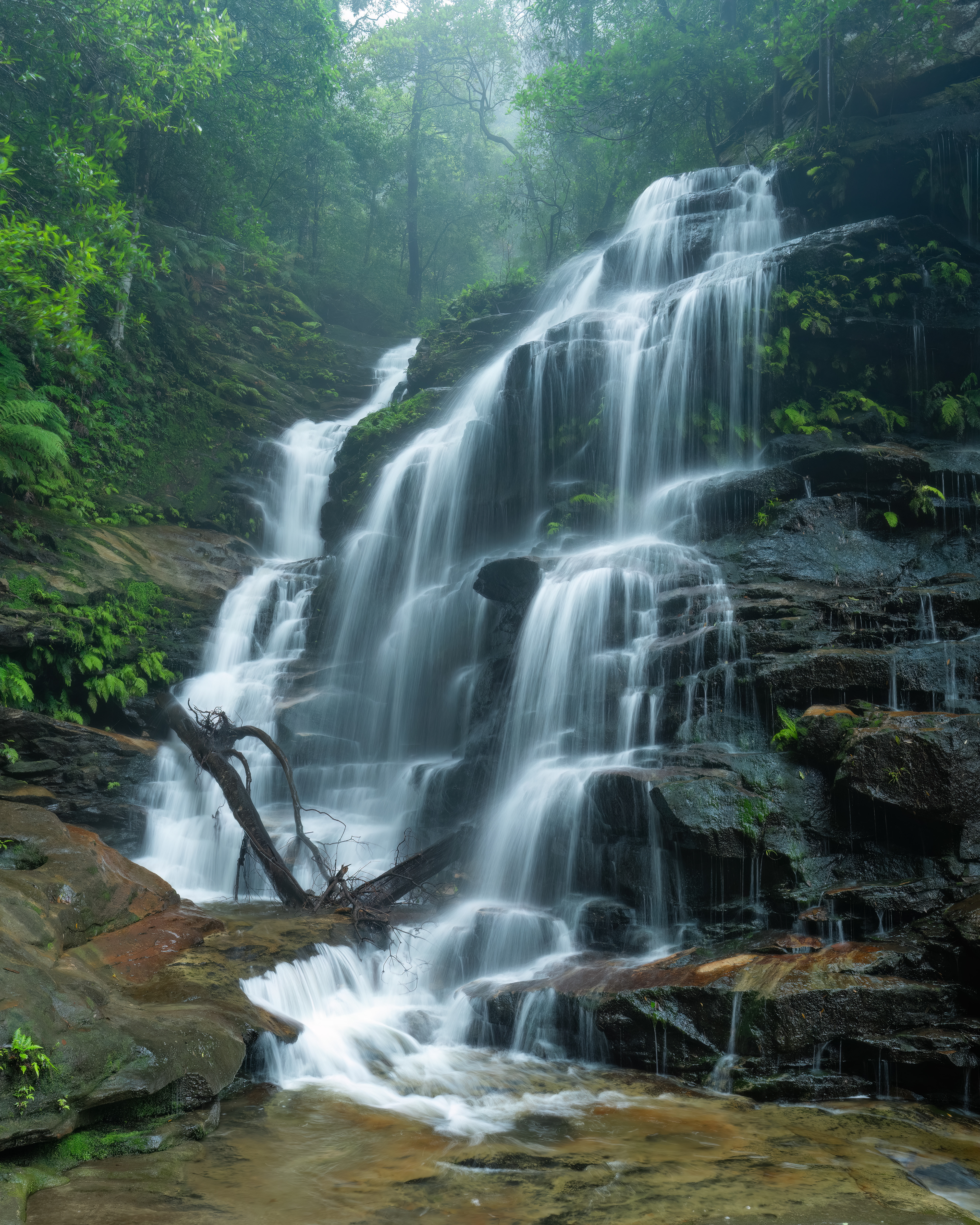 Sylvia Falls (4:5)