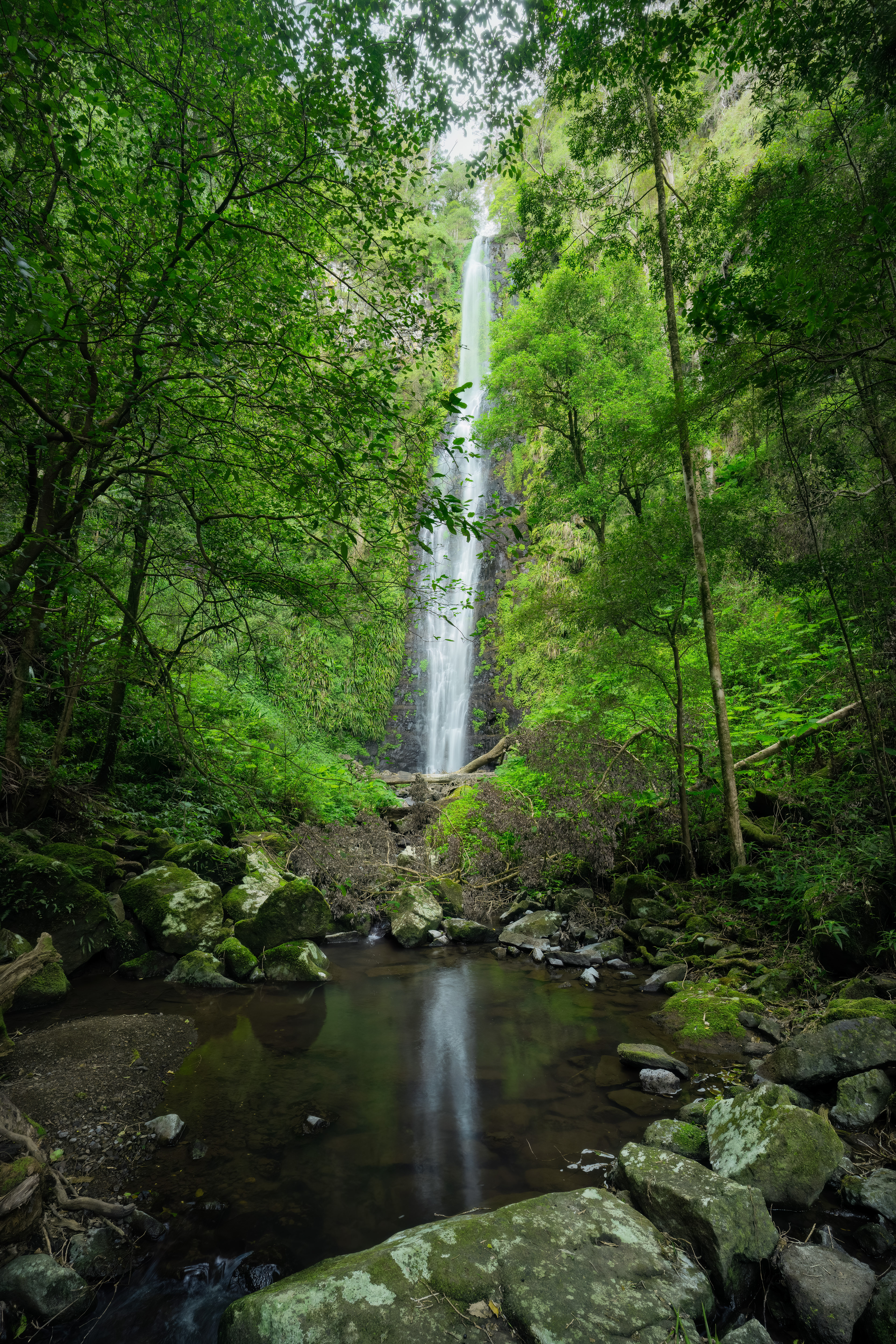 Larapinta Falls 02