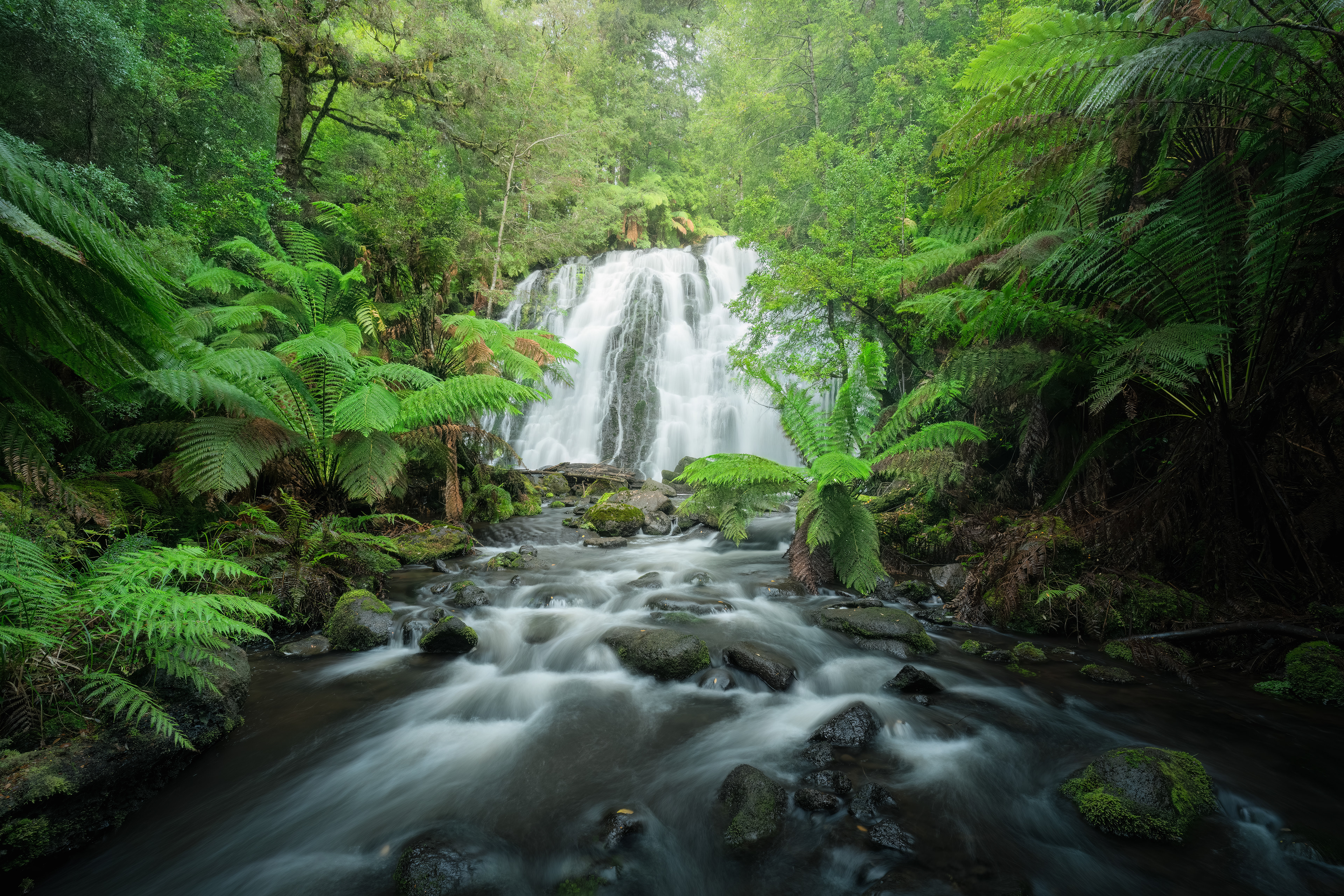 Tarkine Waterfall 07 (2:3)