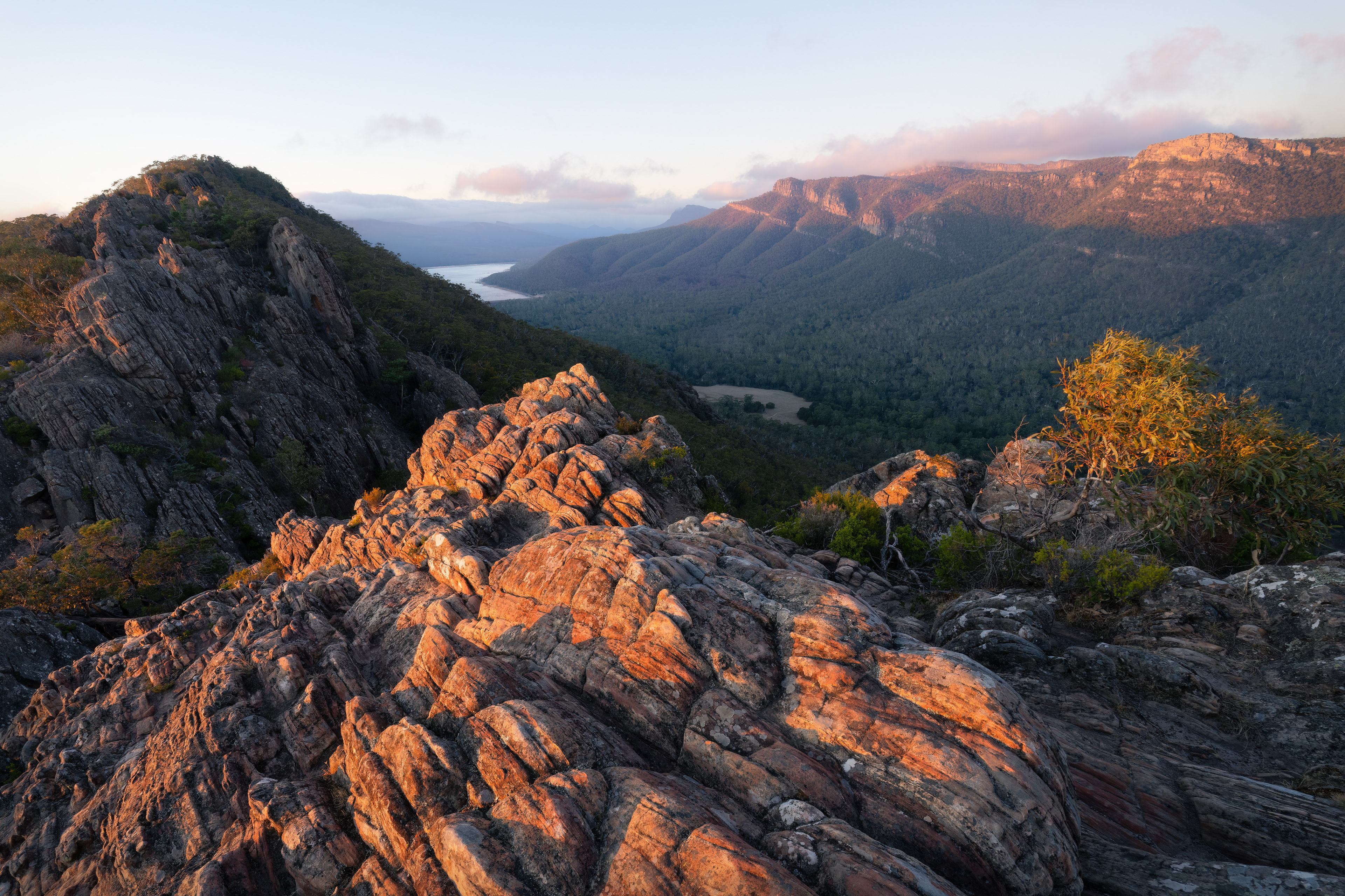 Boronia Peak