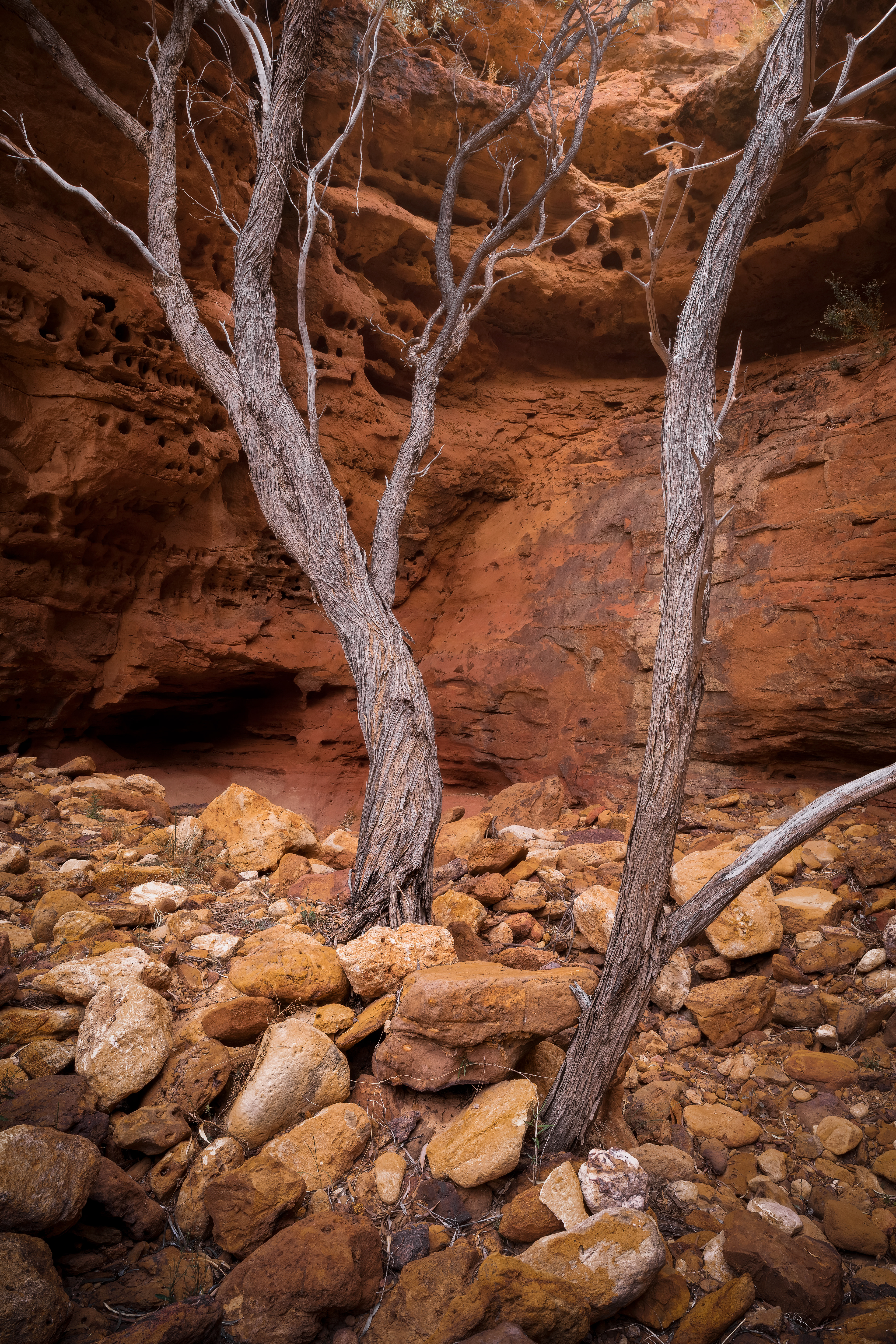 Temple Gorge (2:3)