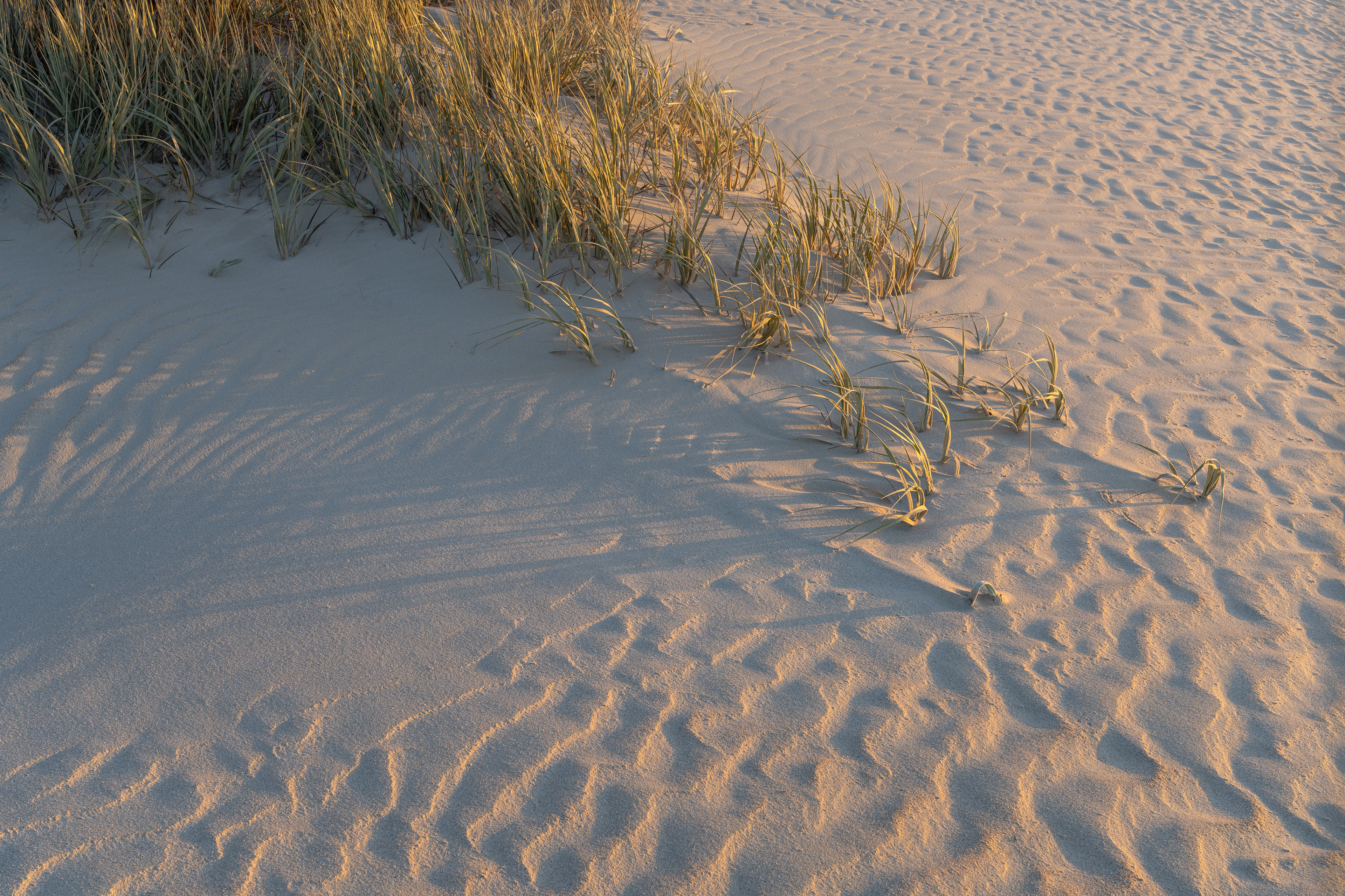 Coffin Bay National Park 01