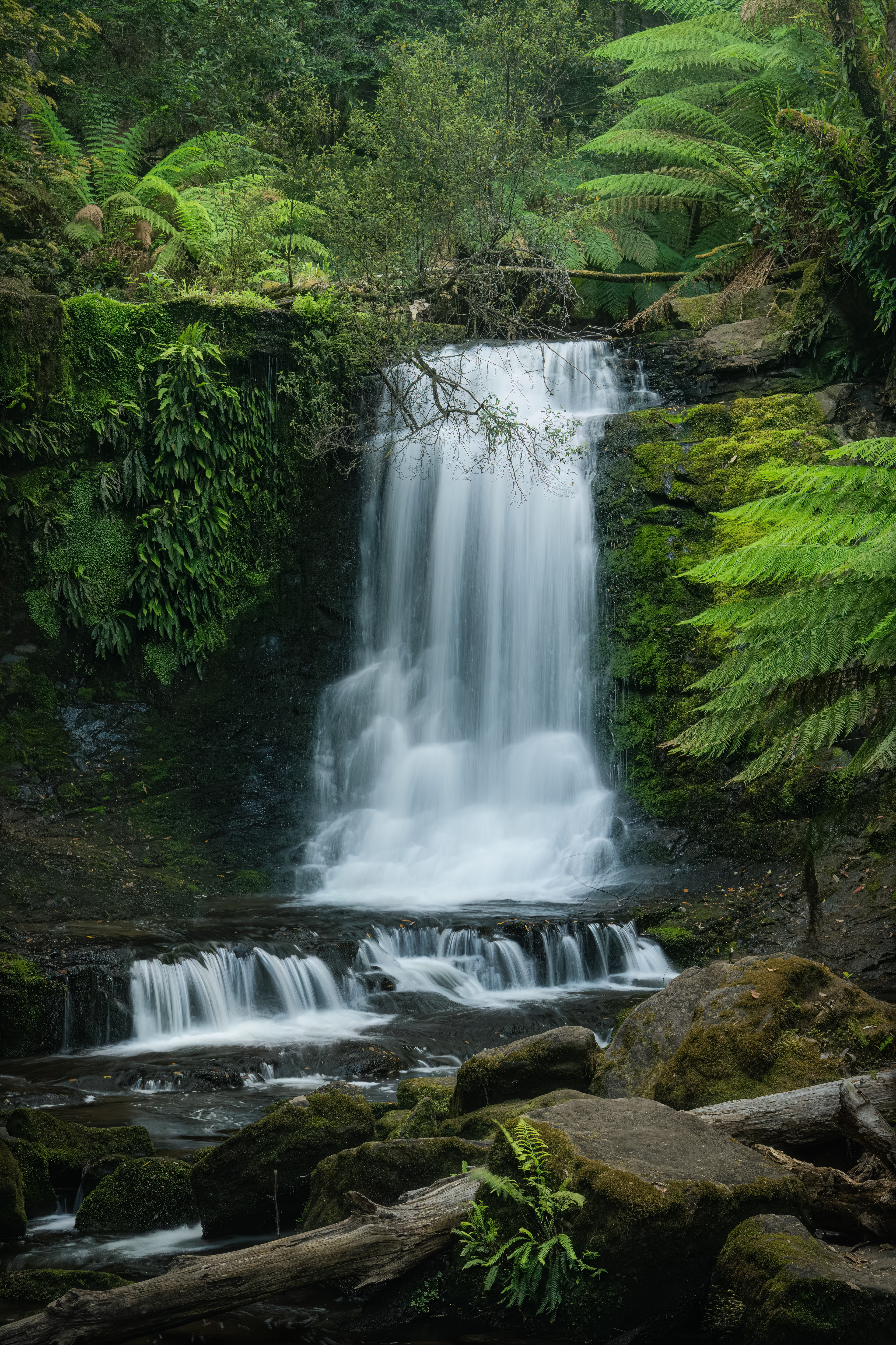 Horseshoe Falls