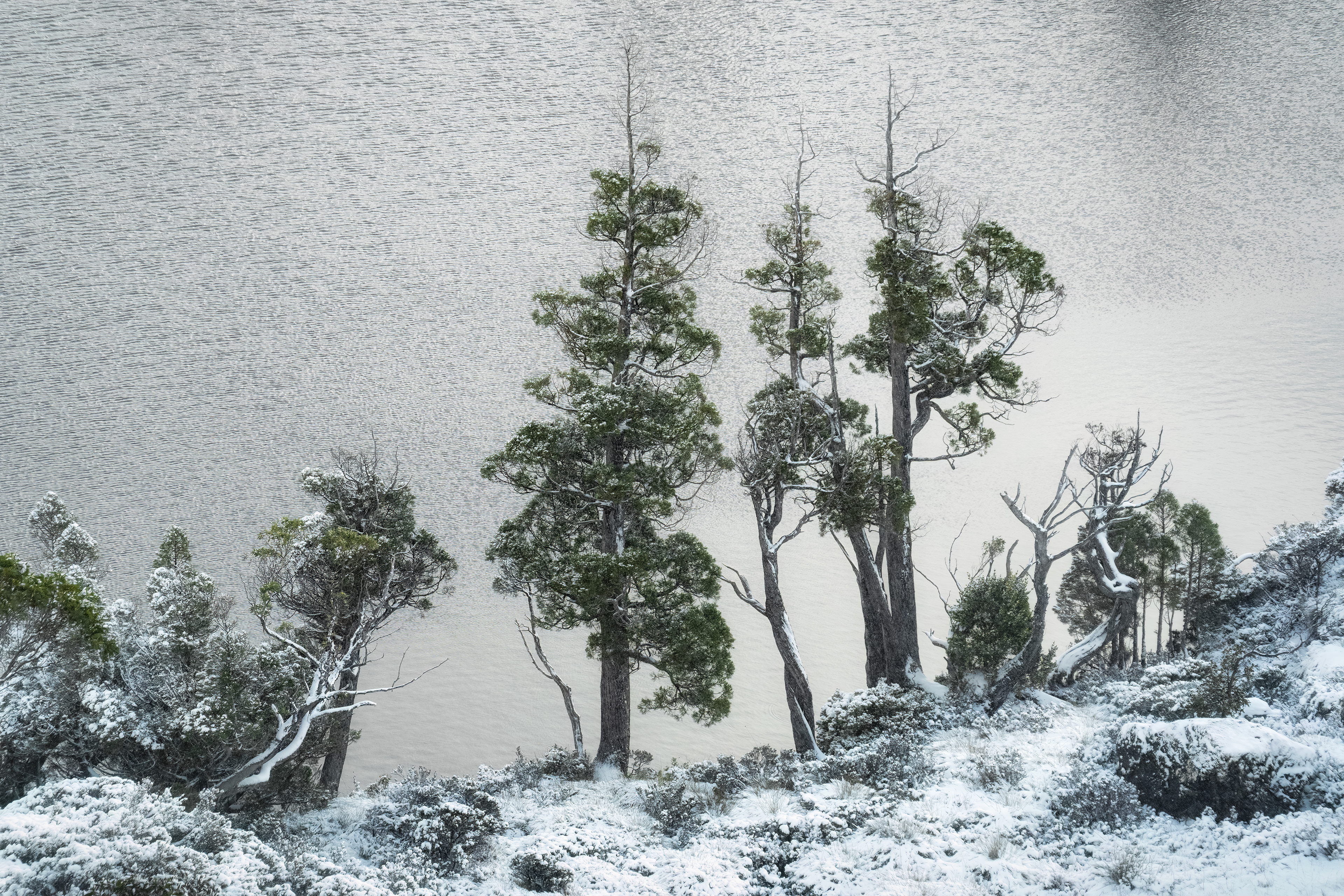 Wombat Pool, Cradle Mountain (2:3)