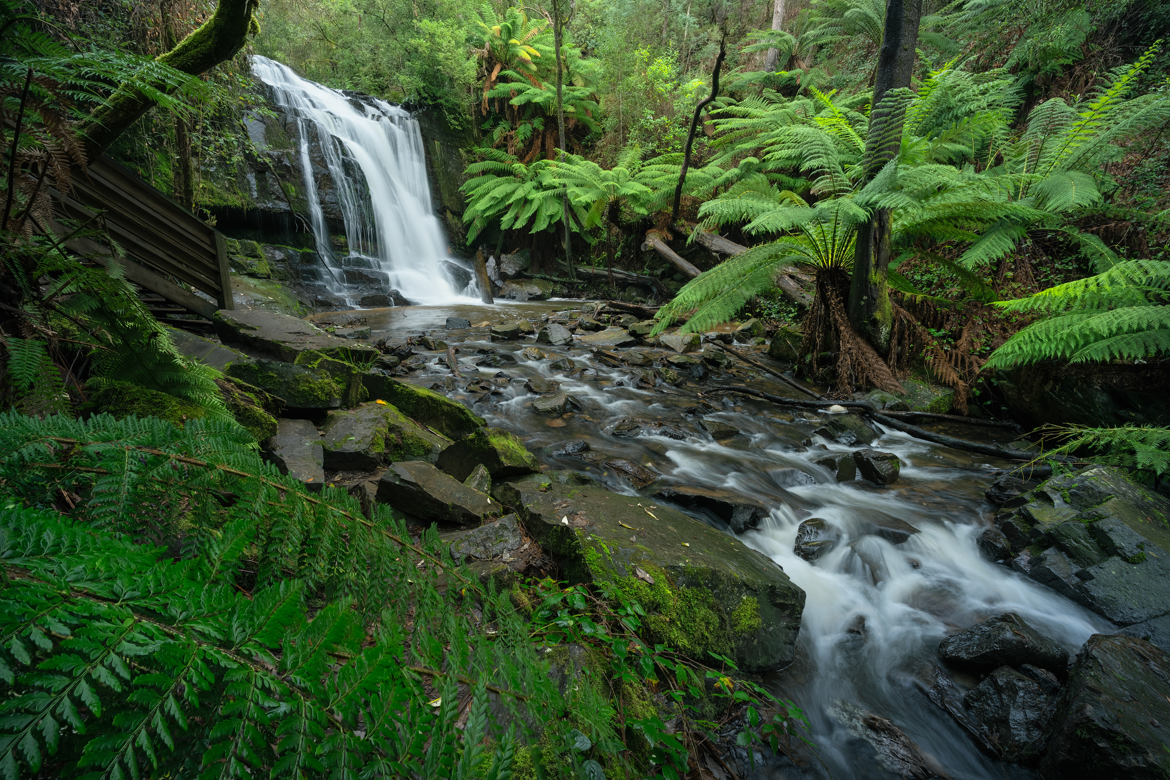 Lilydale Falls 02 (2:3)