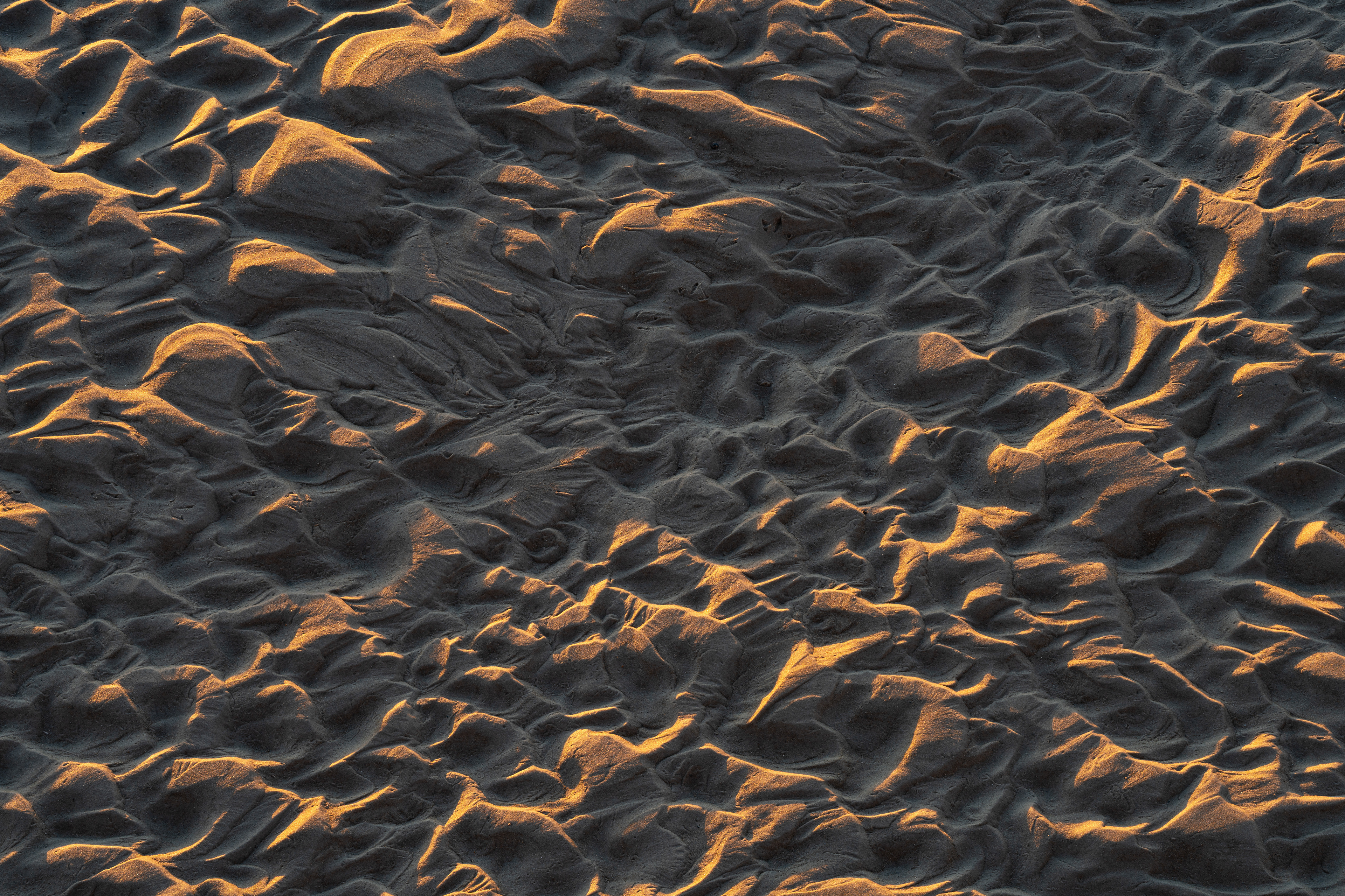 Sunlight On The Sand (2:3)