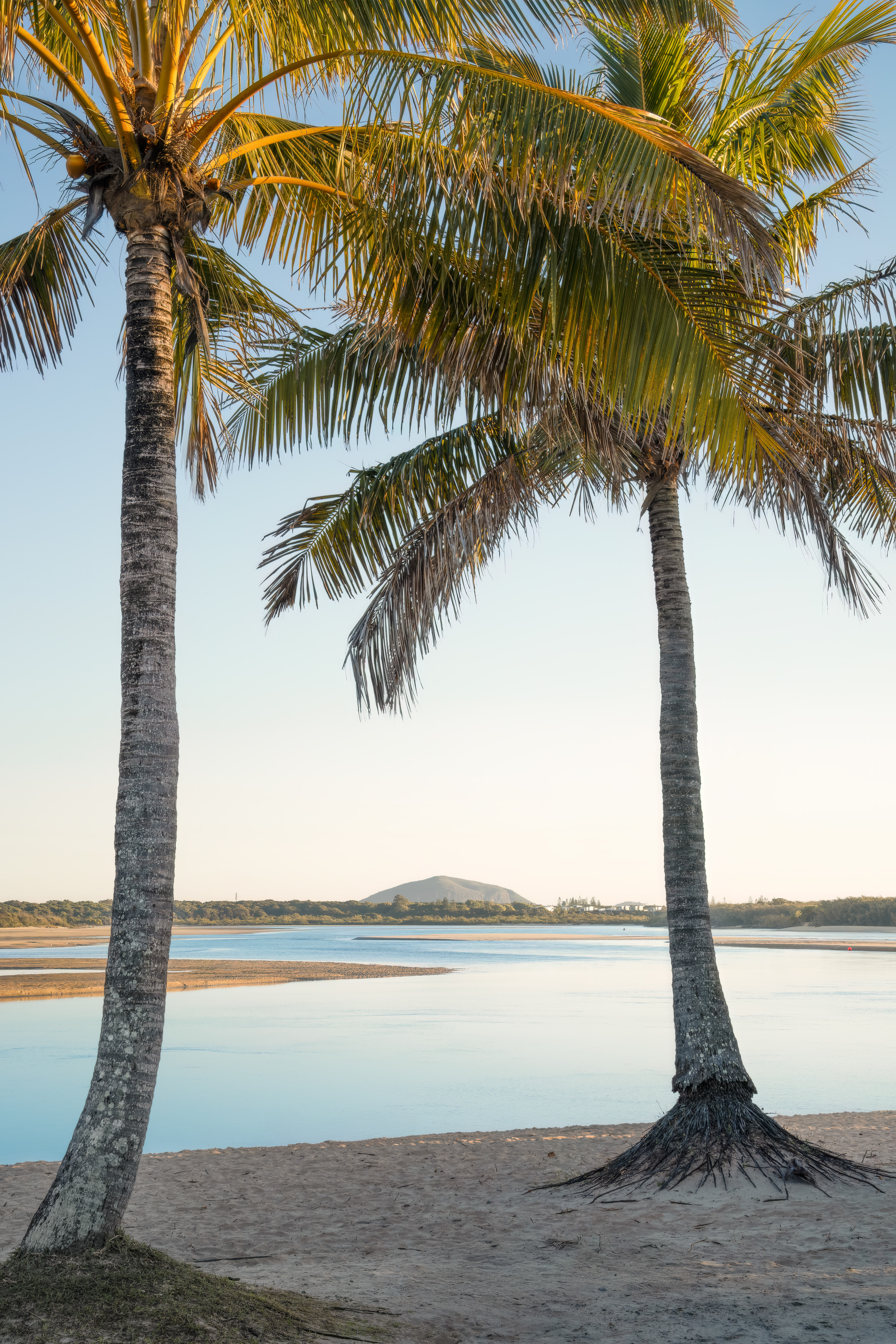 Cotton Tree Beach