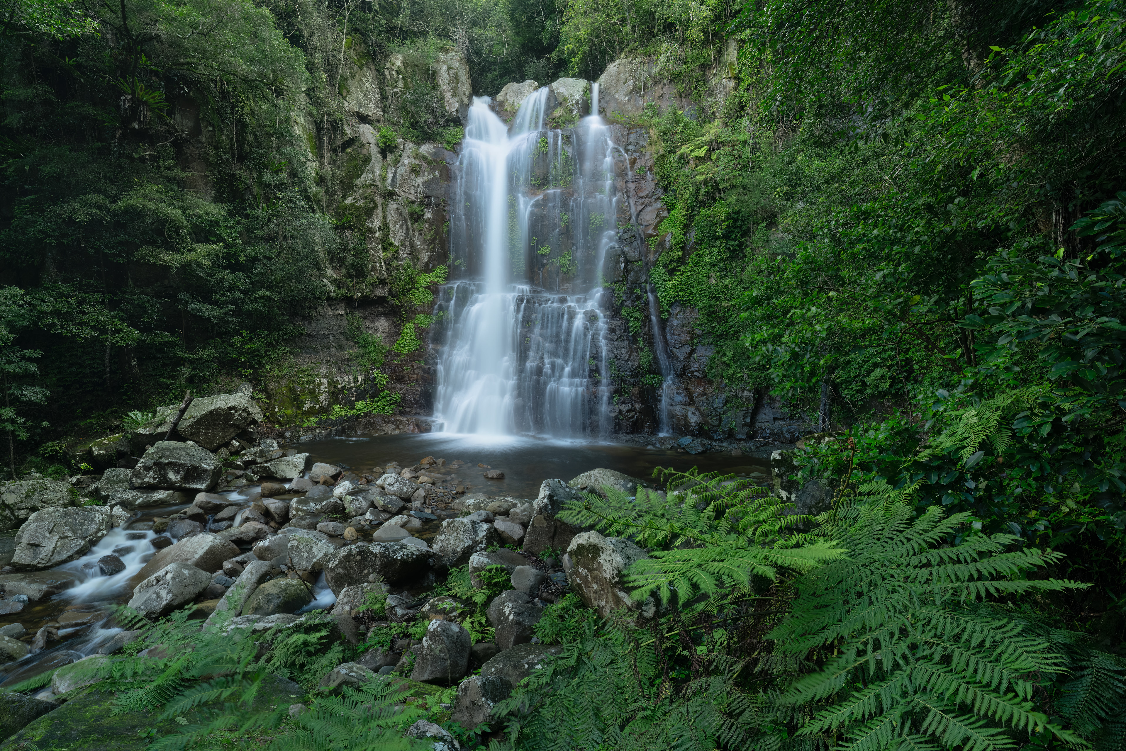 Minnamurra Falls surrounded by rainforest