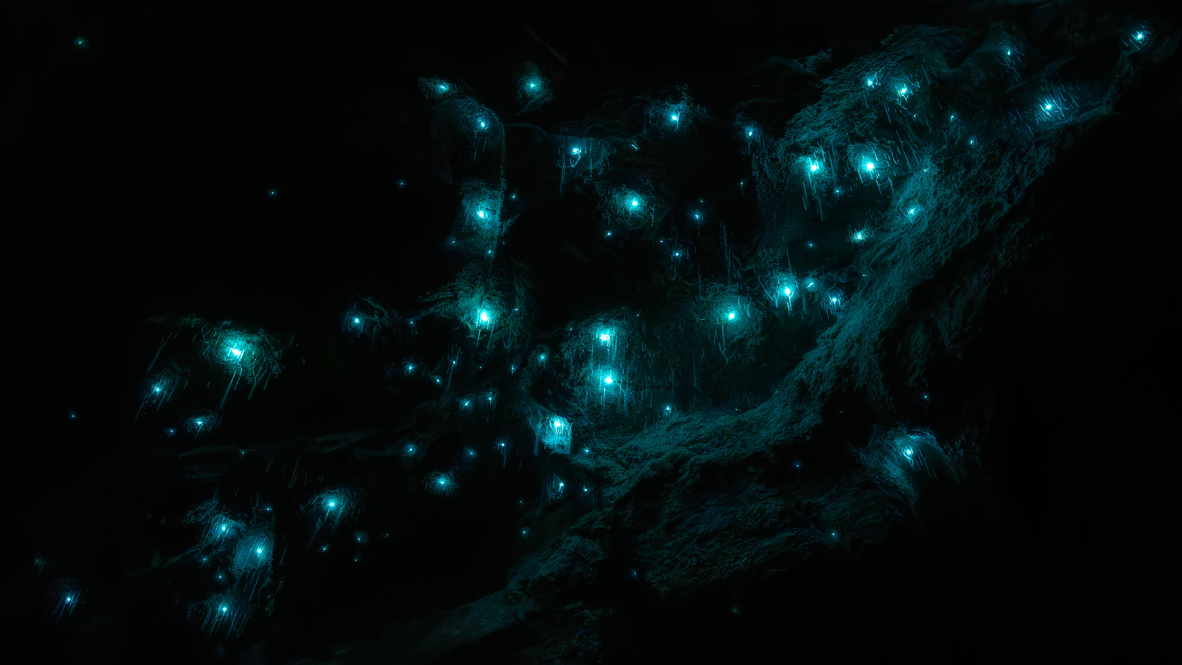 Glow Worm Caves