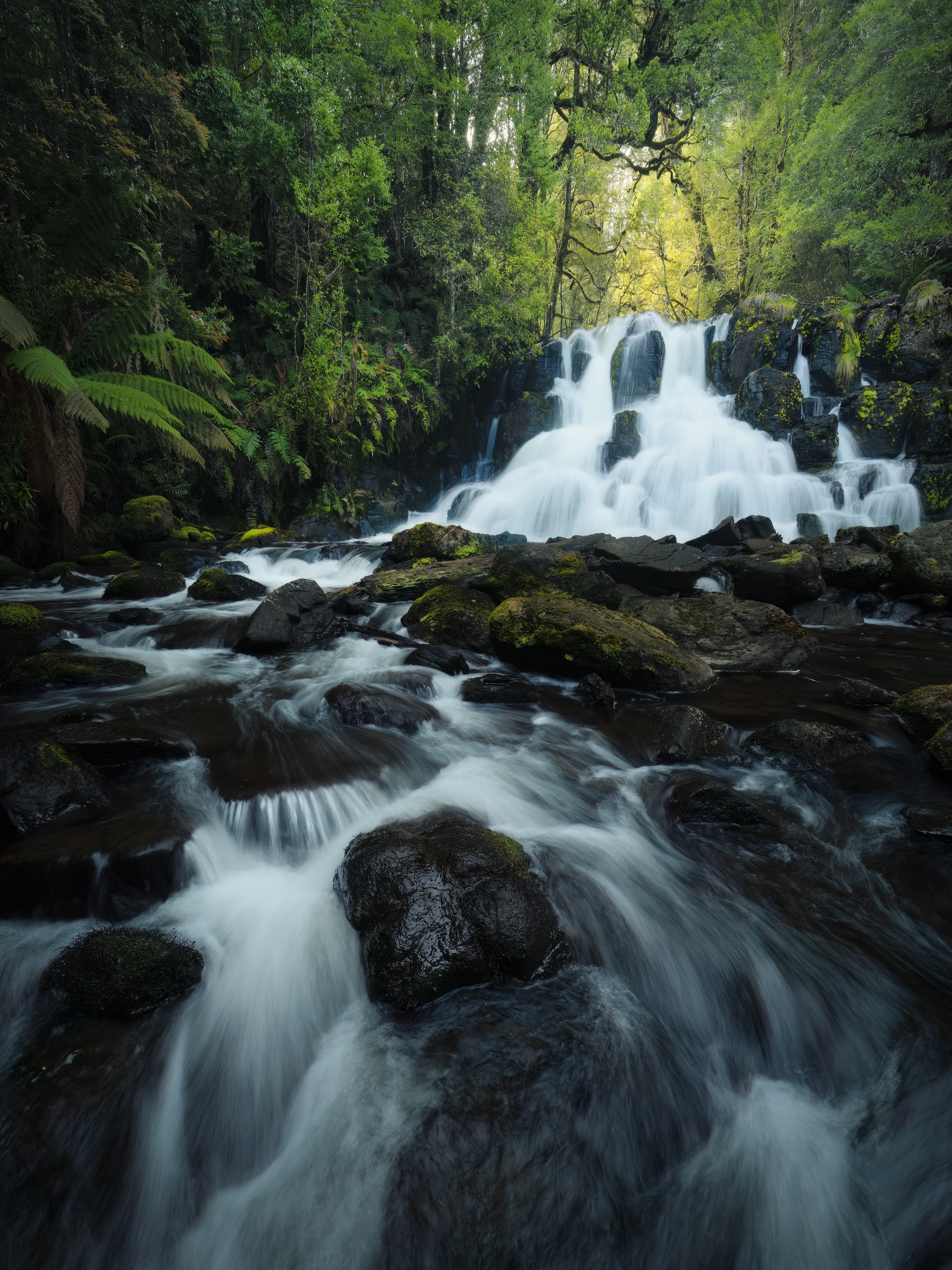 Wandle River Waterfall