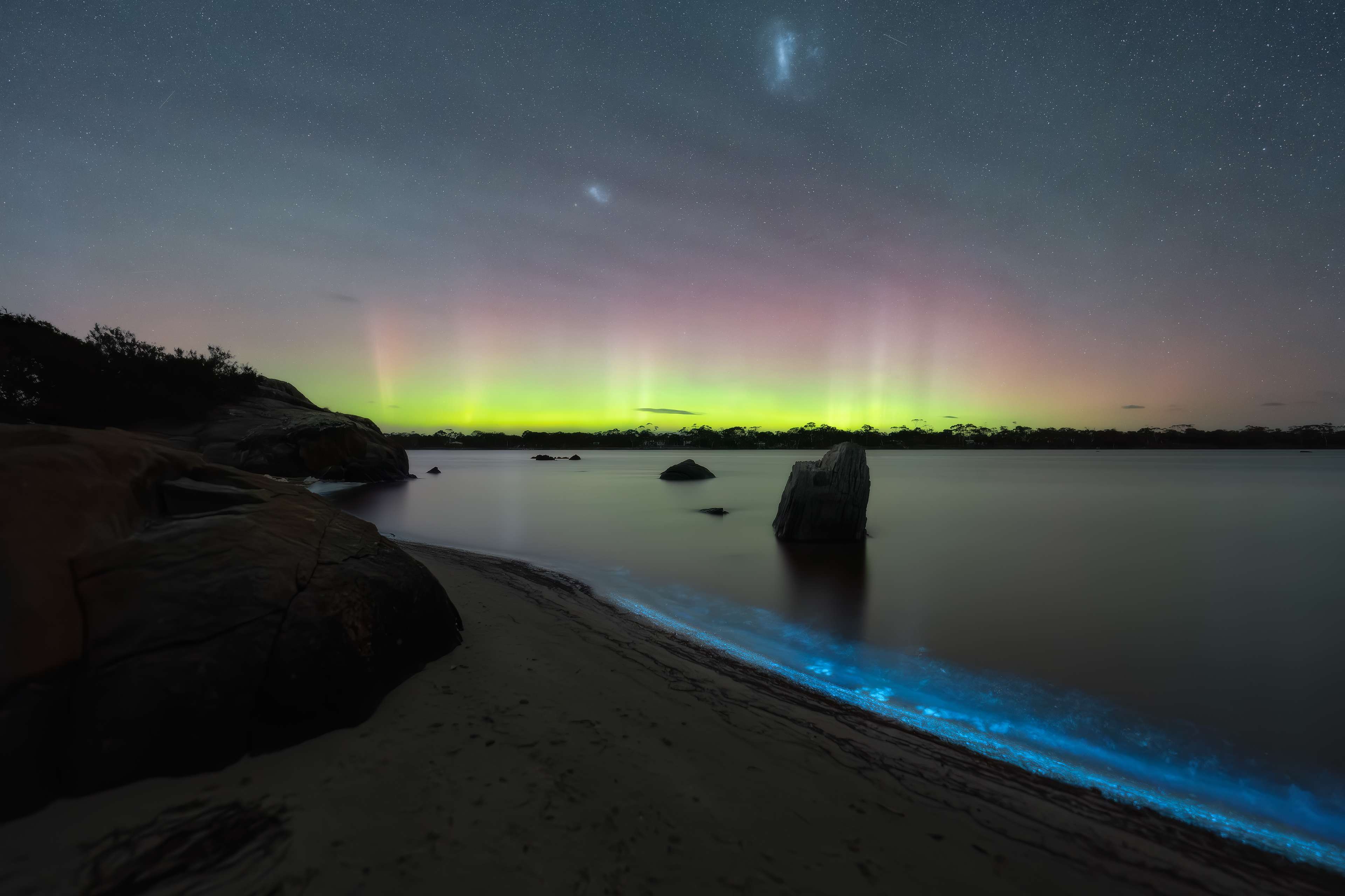 Bioluminescence & Aurora, Swanwick Bay