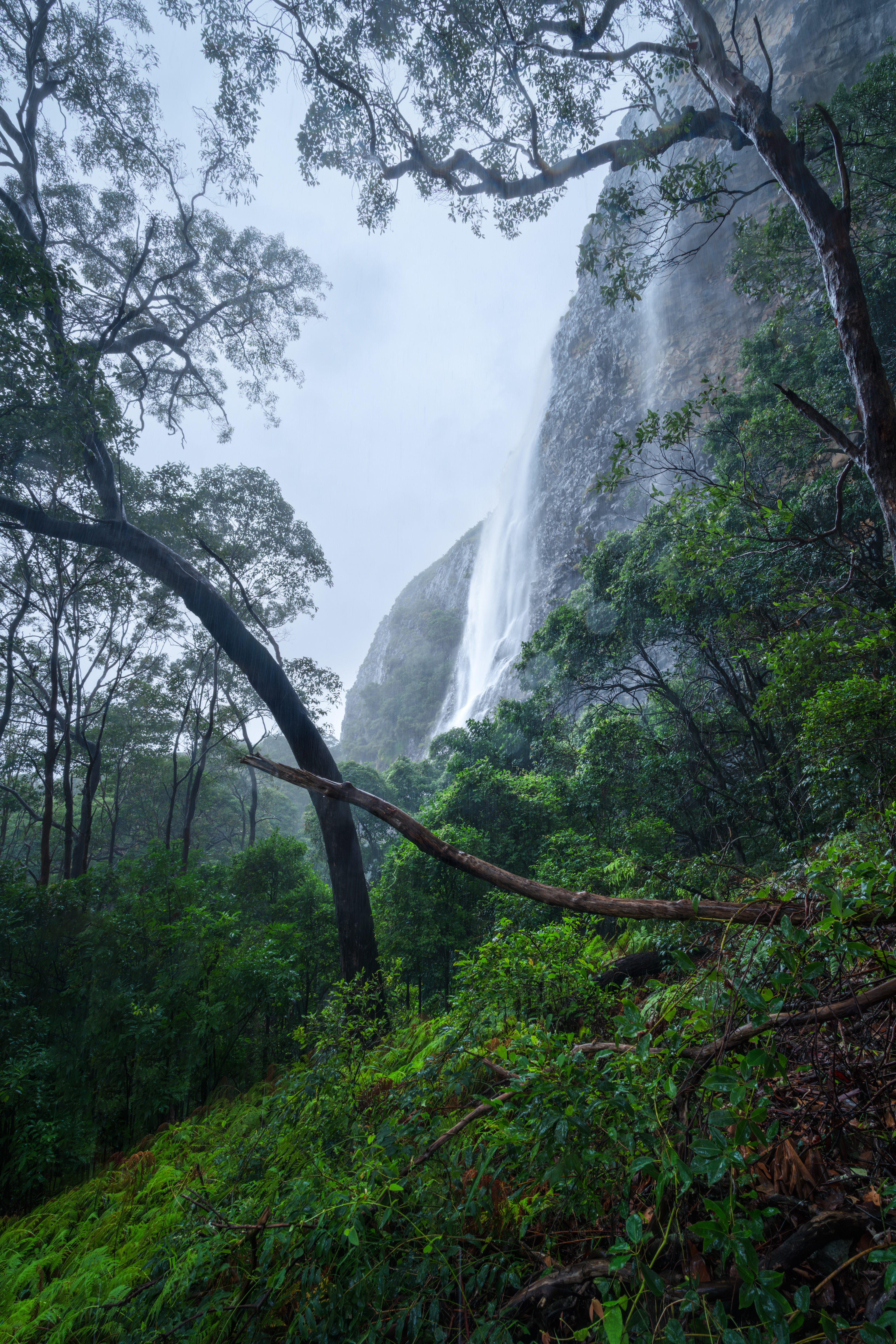 Mount Coolum Waterfalls 02
