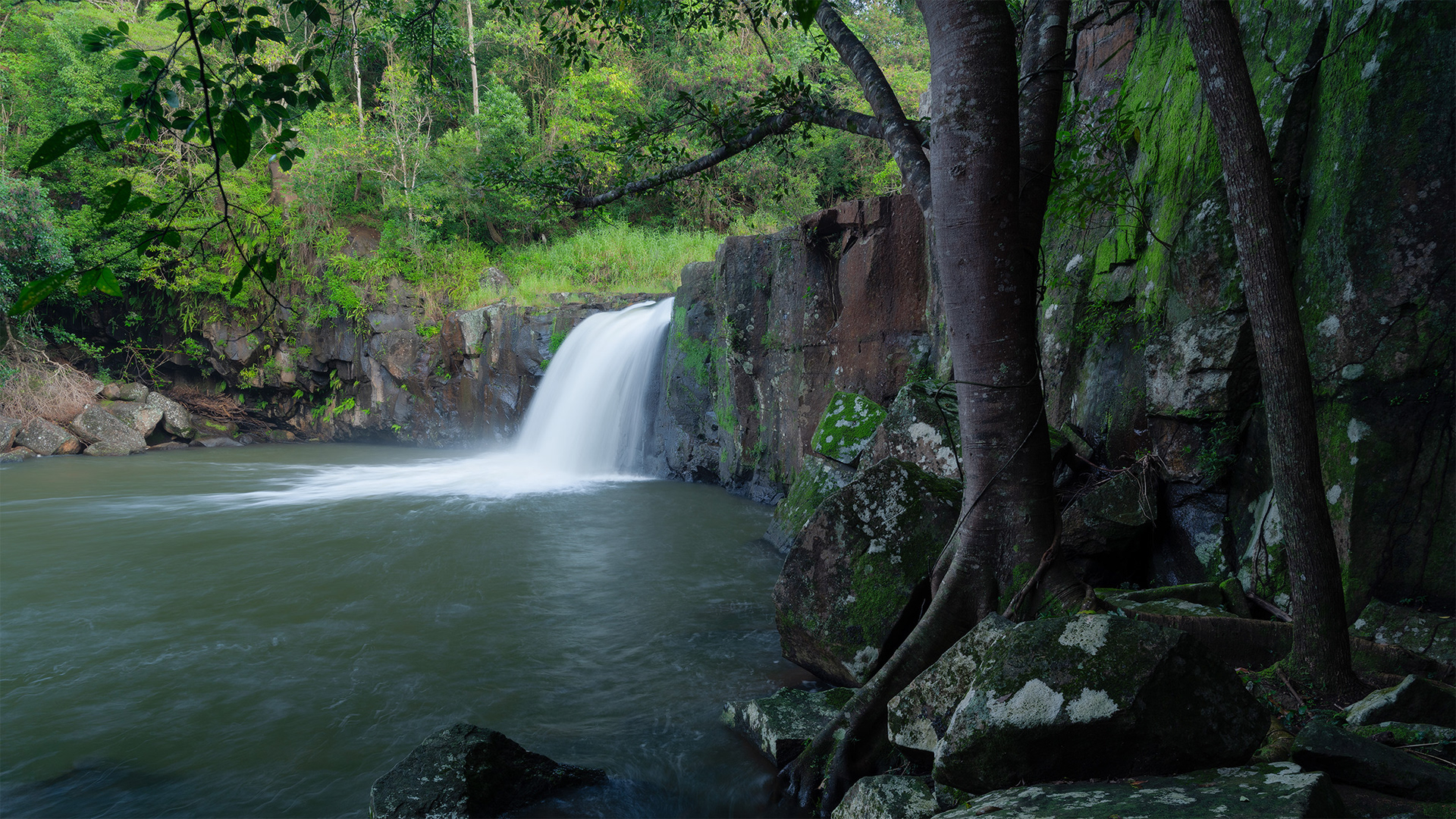 Marom Falls plunging into the pool below in the Byron Bay hinterland