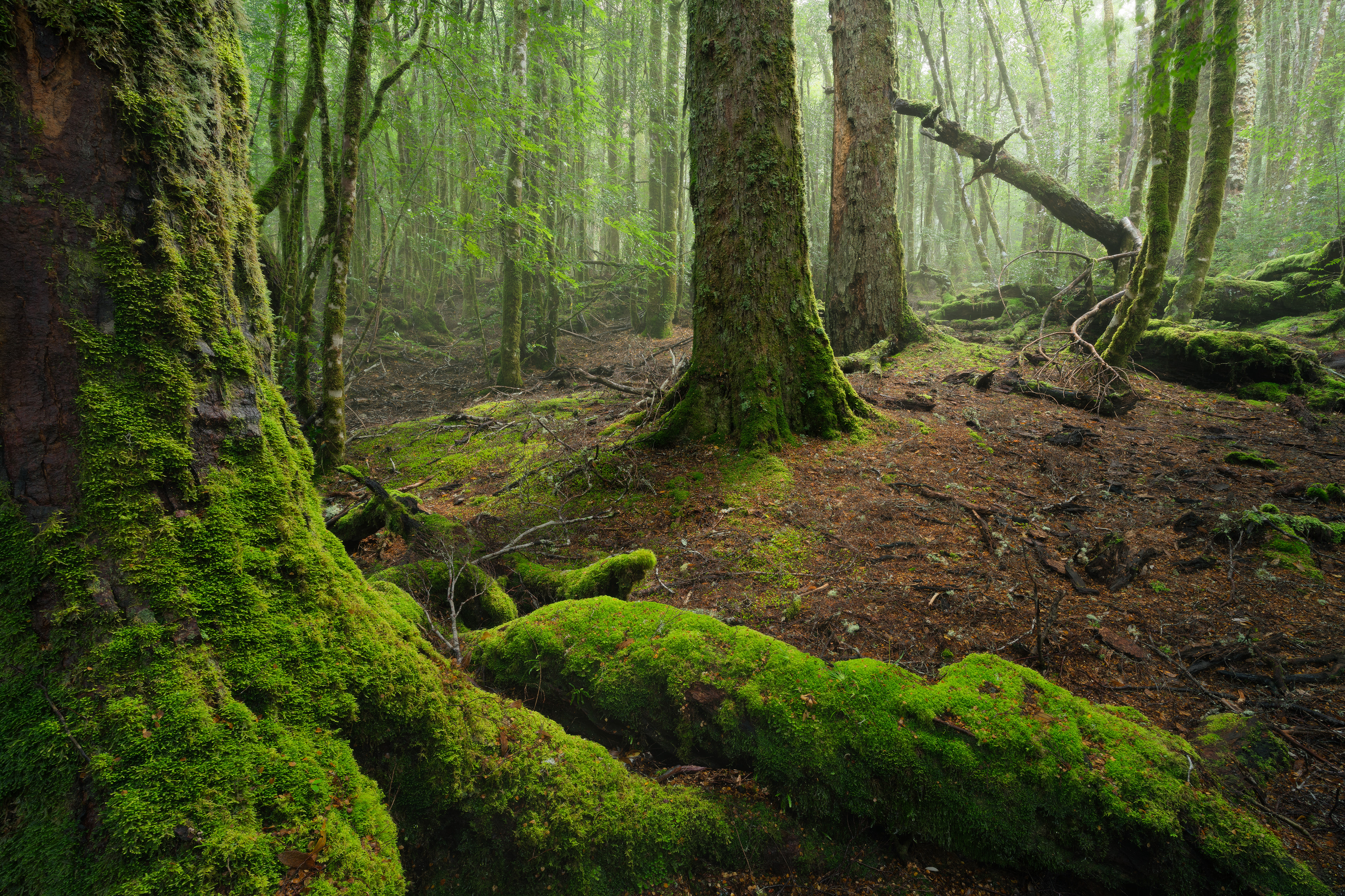 Cradle Mountain