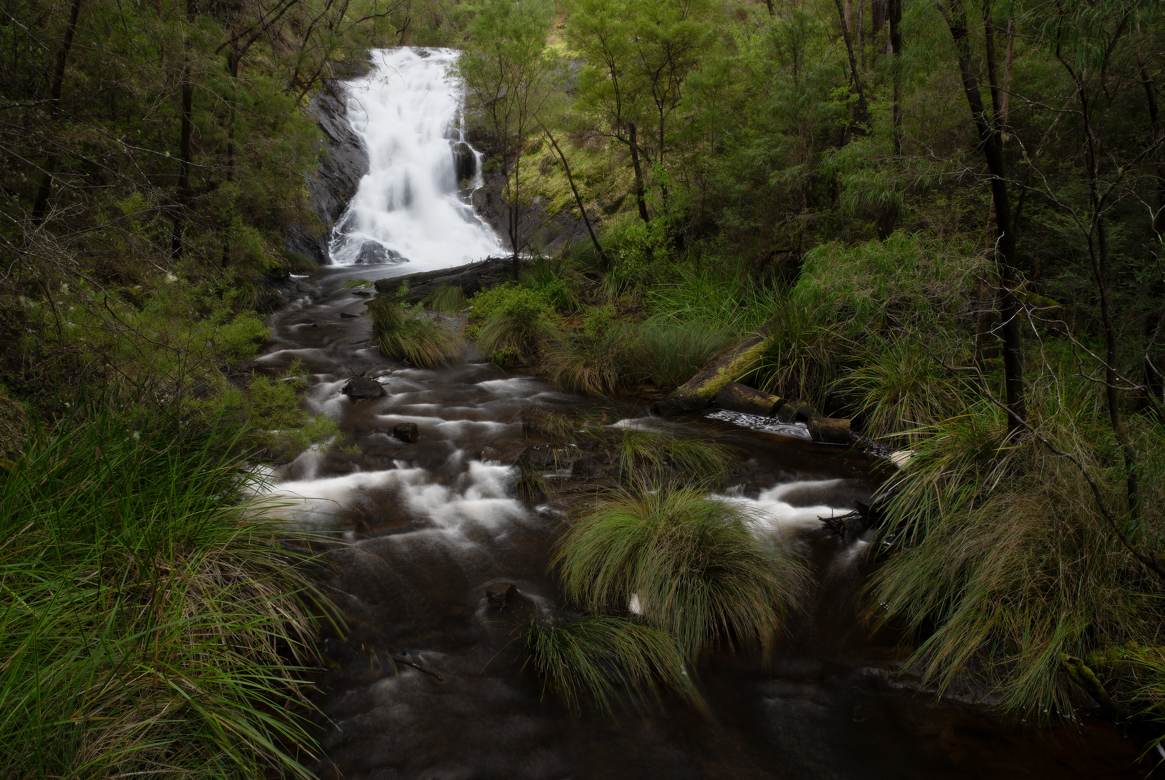 Beedelup Falls 02