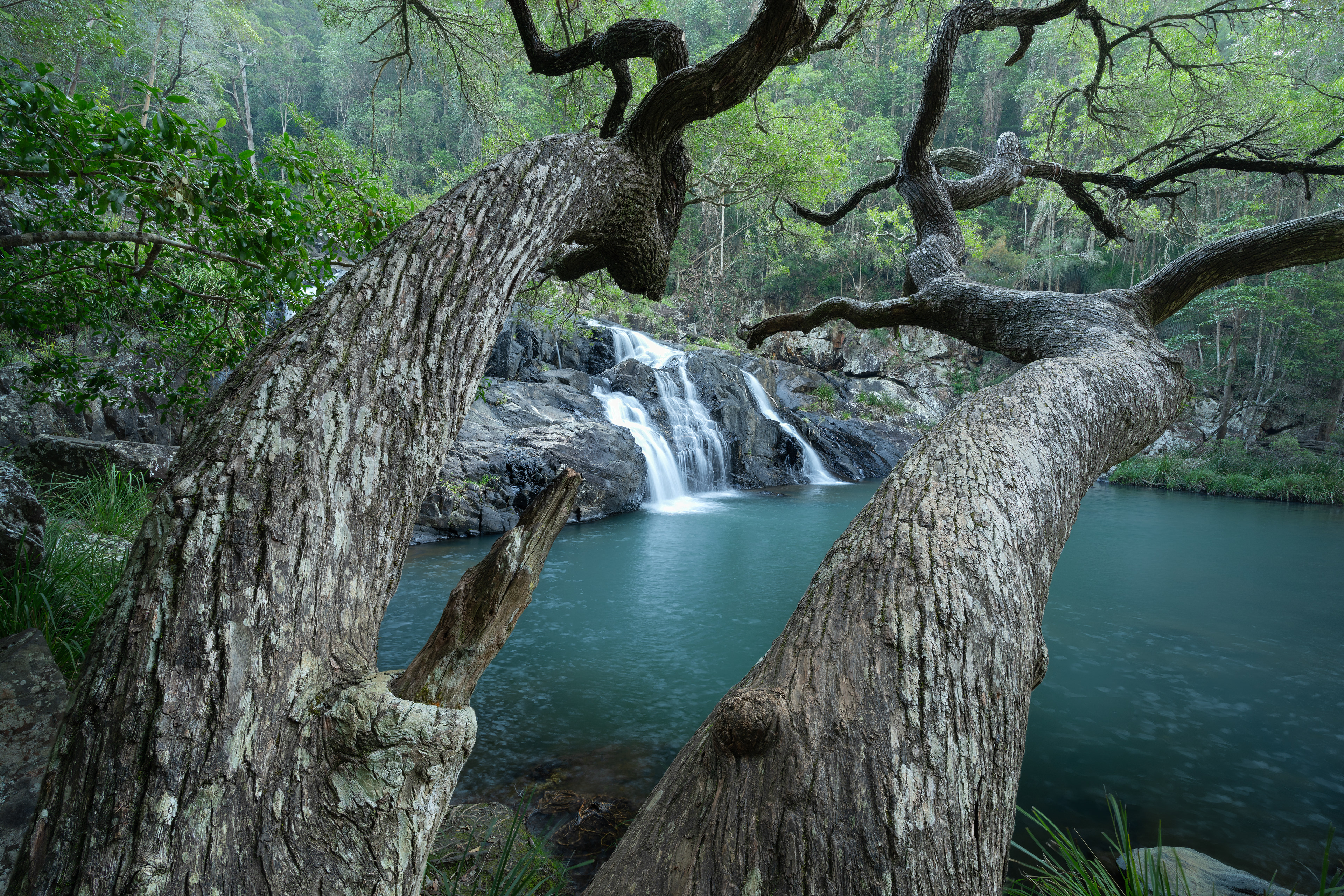 Booloumba Falls