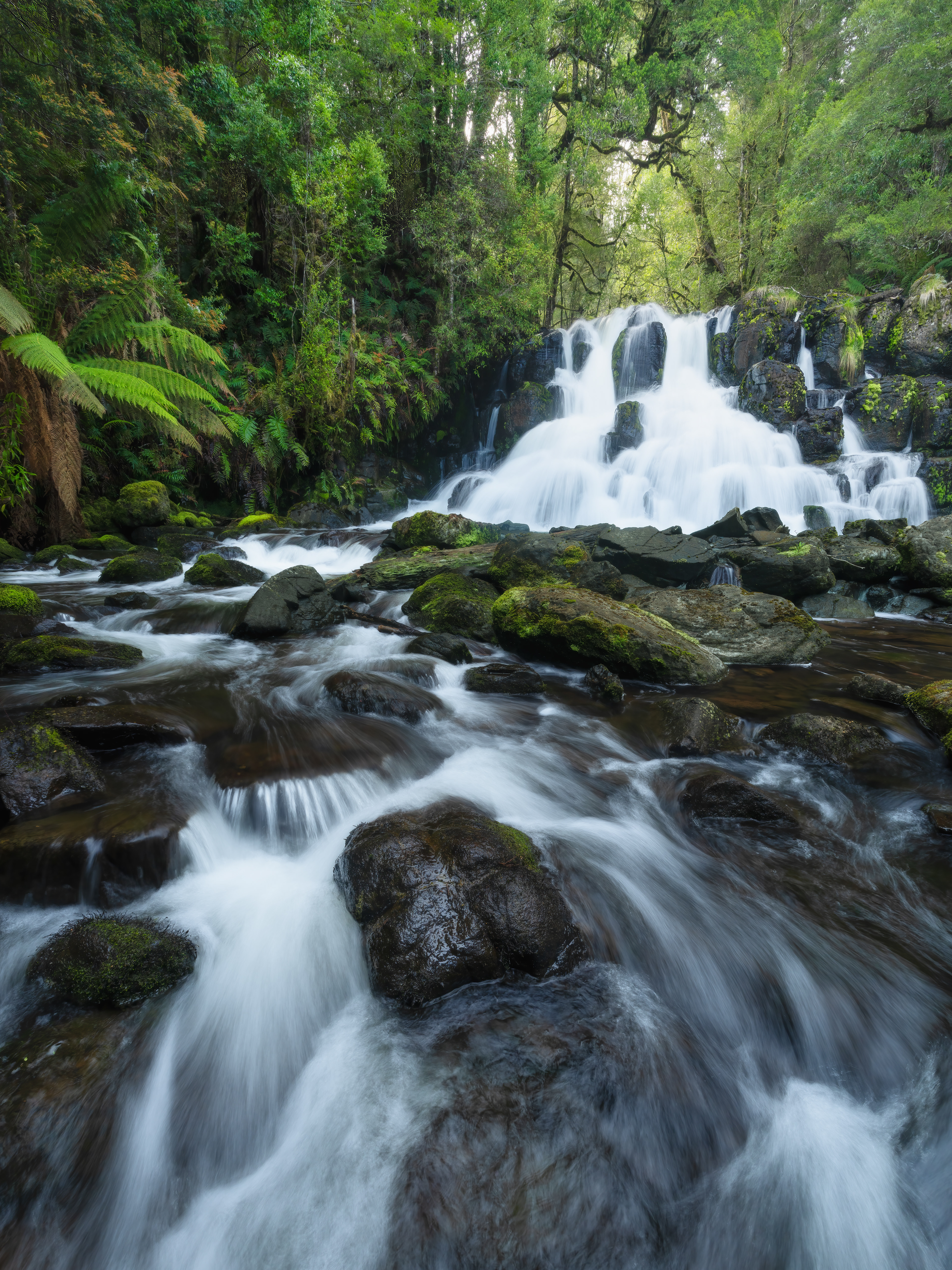 Wandle River Waterfall