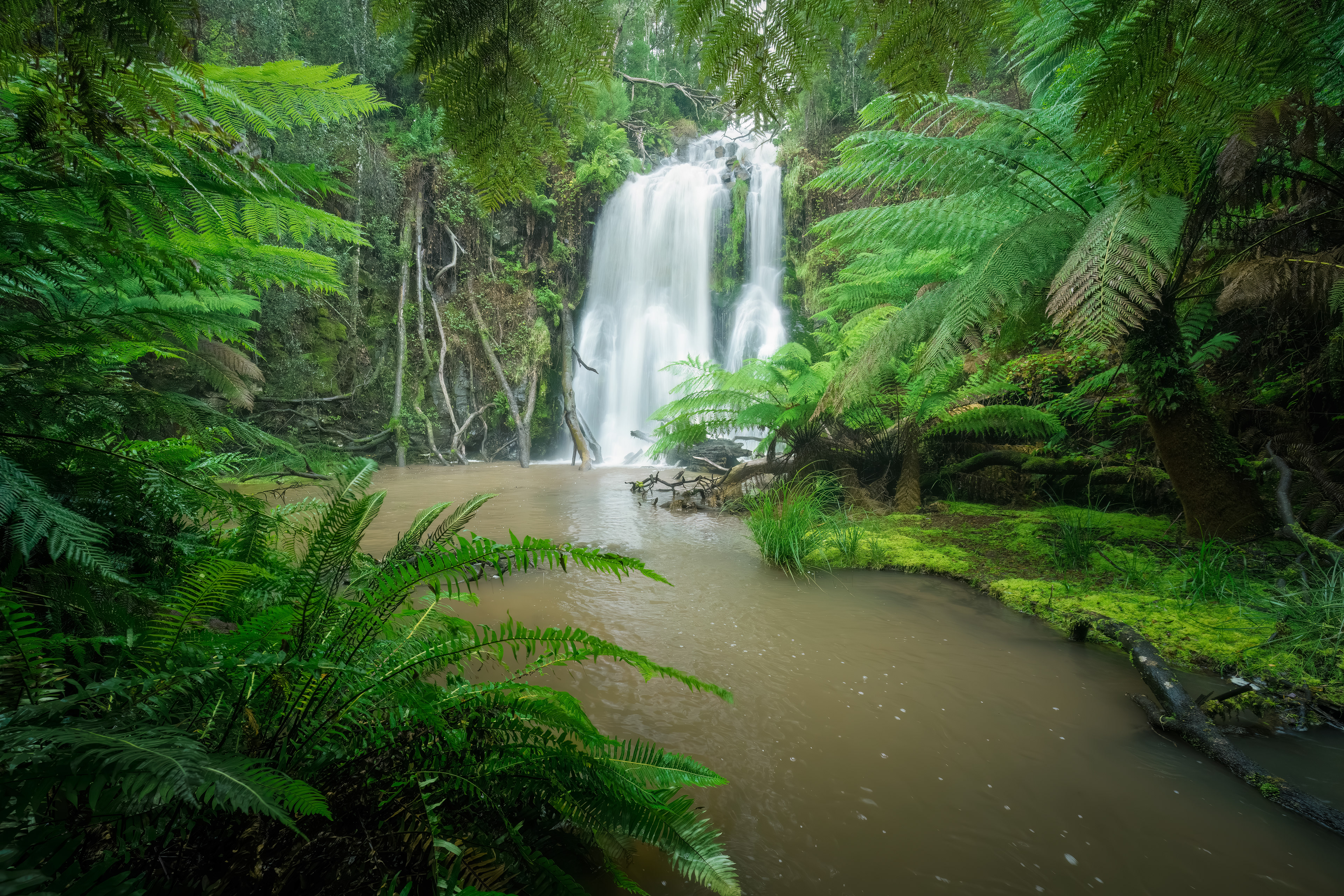 Tarkine Waterfall 03 (2:3)