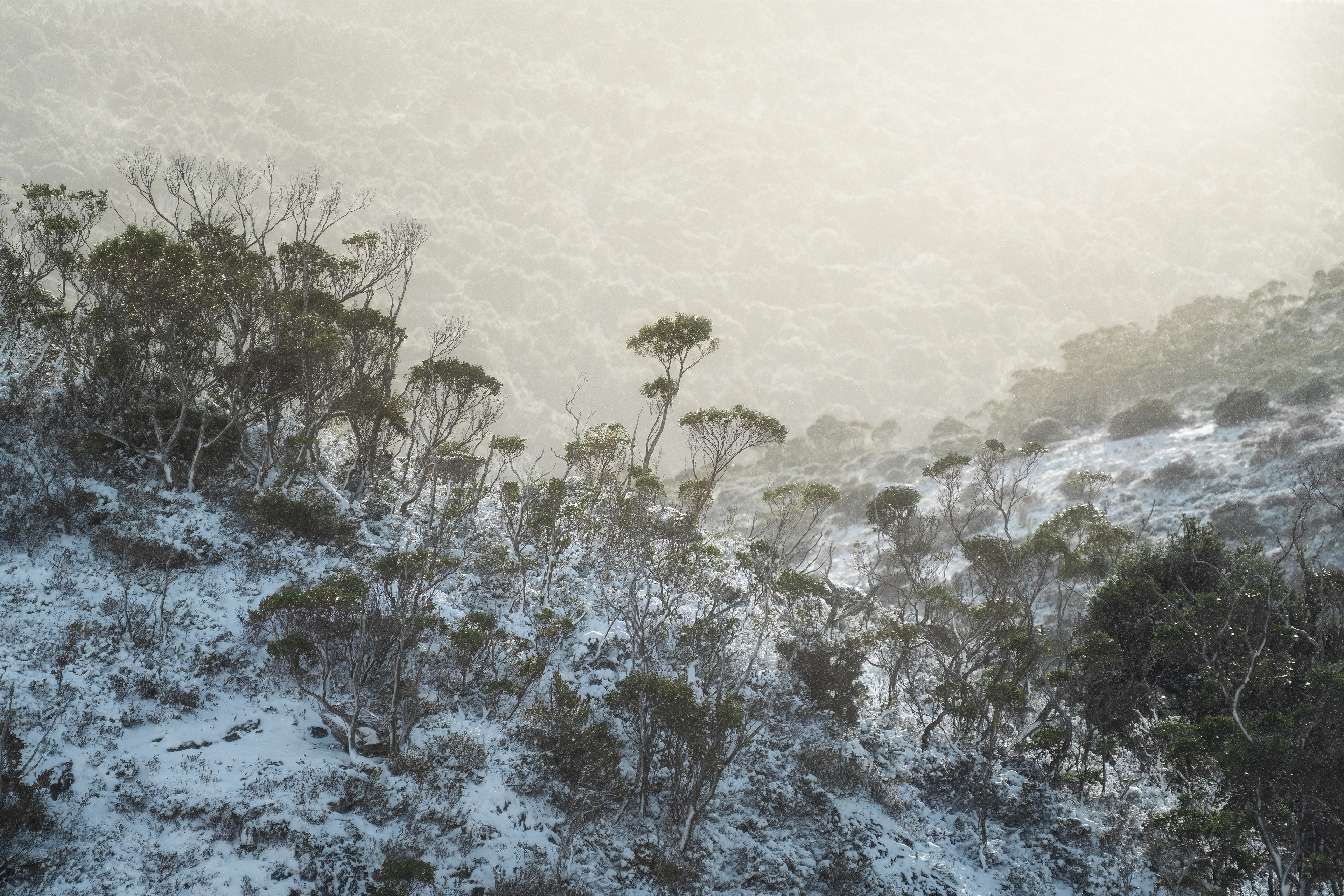 Cradle Valley Snow (2:3)