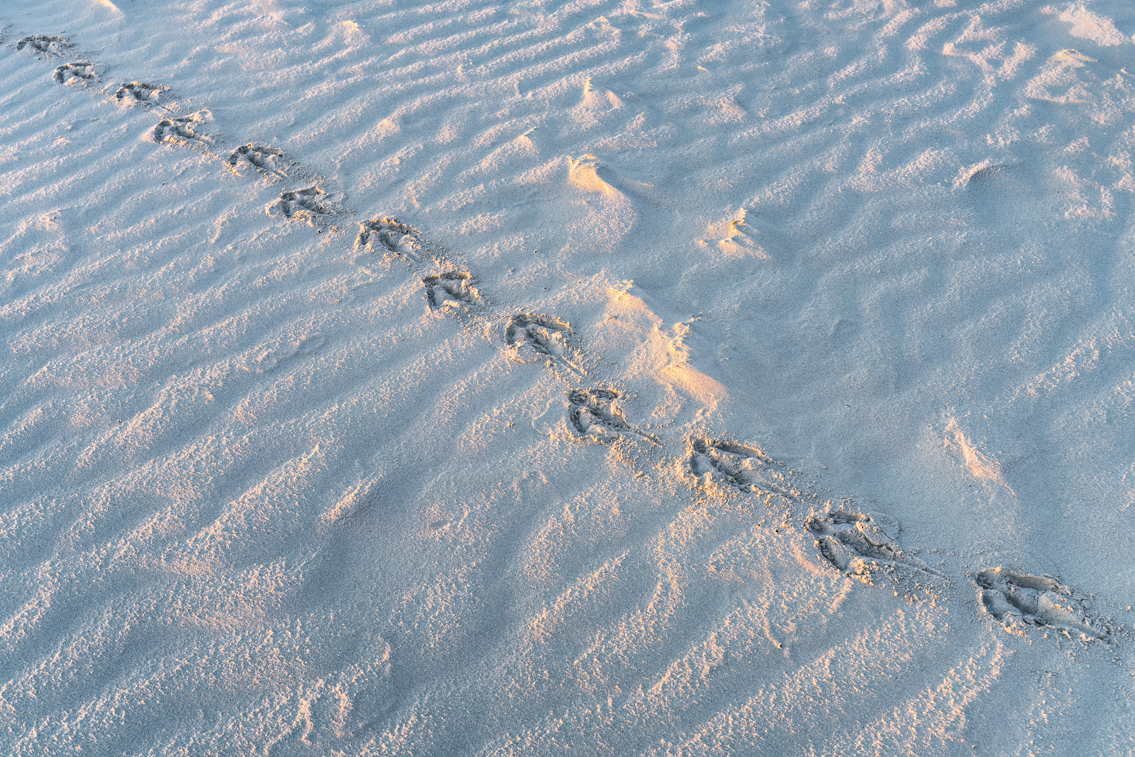 Coffin Bay National Park 02
