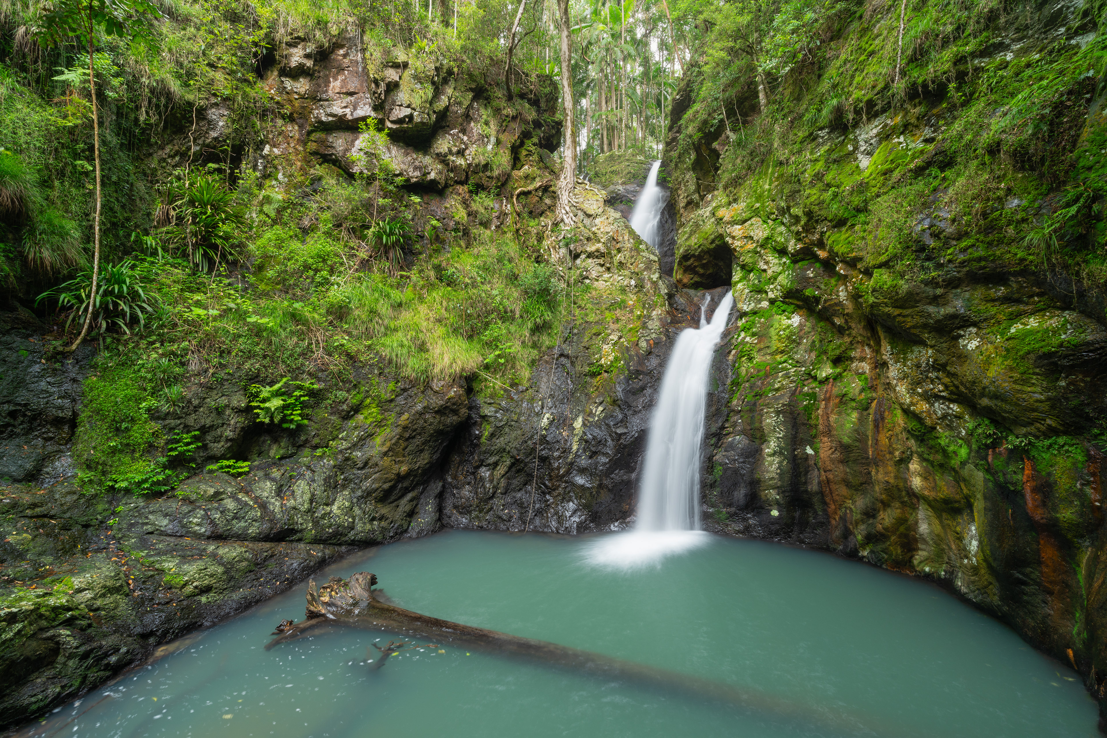 Springbrook Secret 02