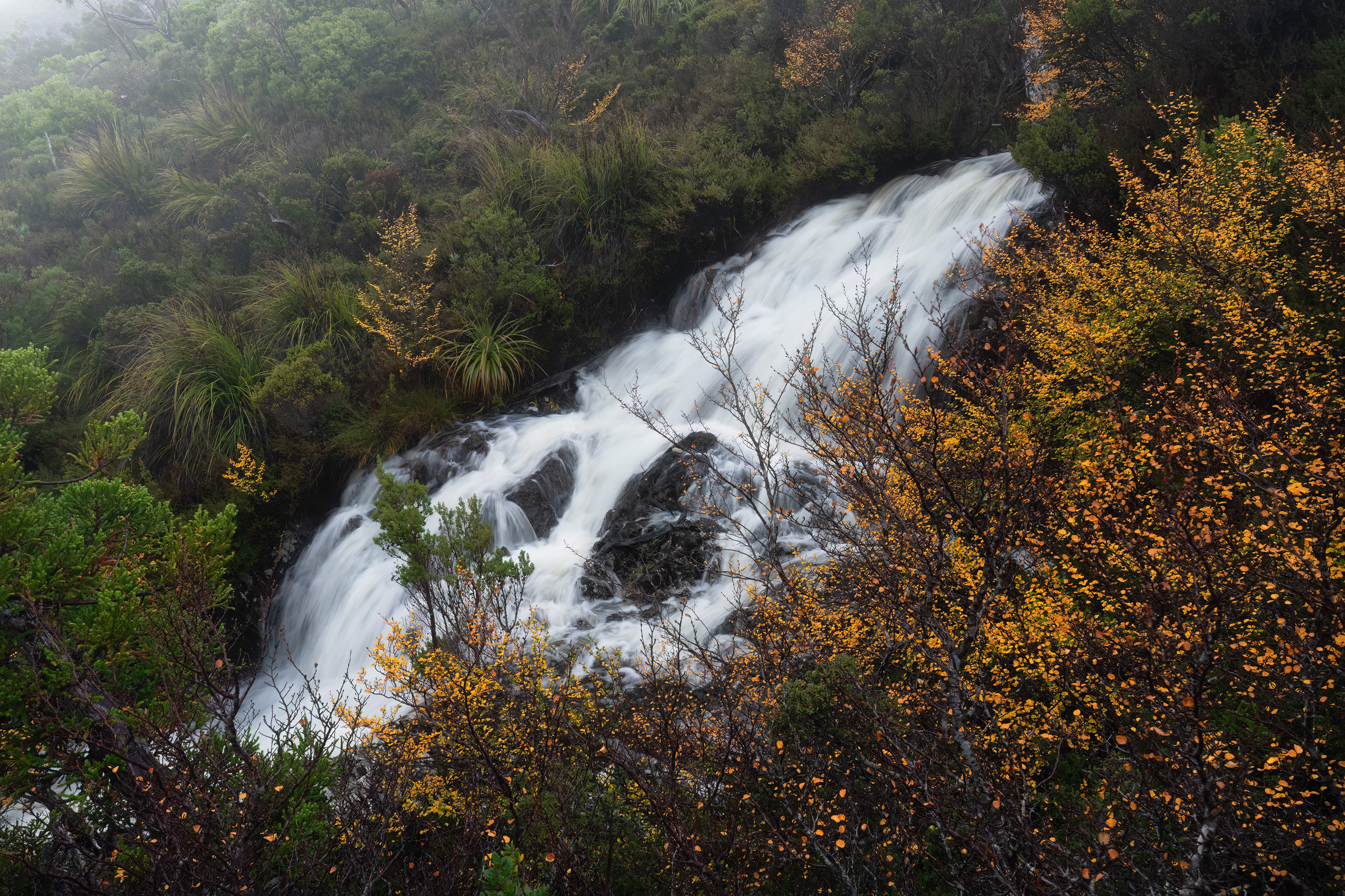 Autumn Cascade, Cradle Mountain (2:3)