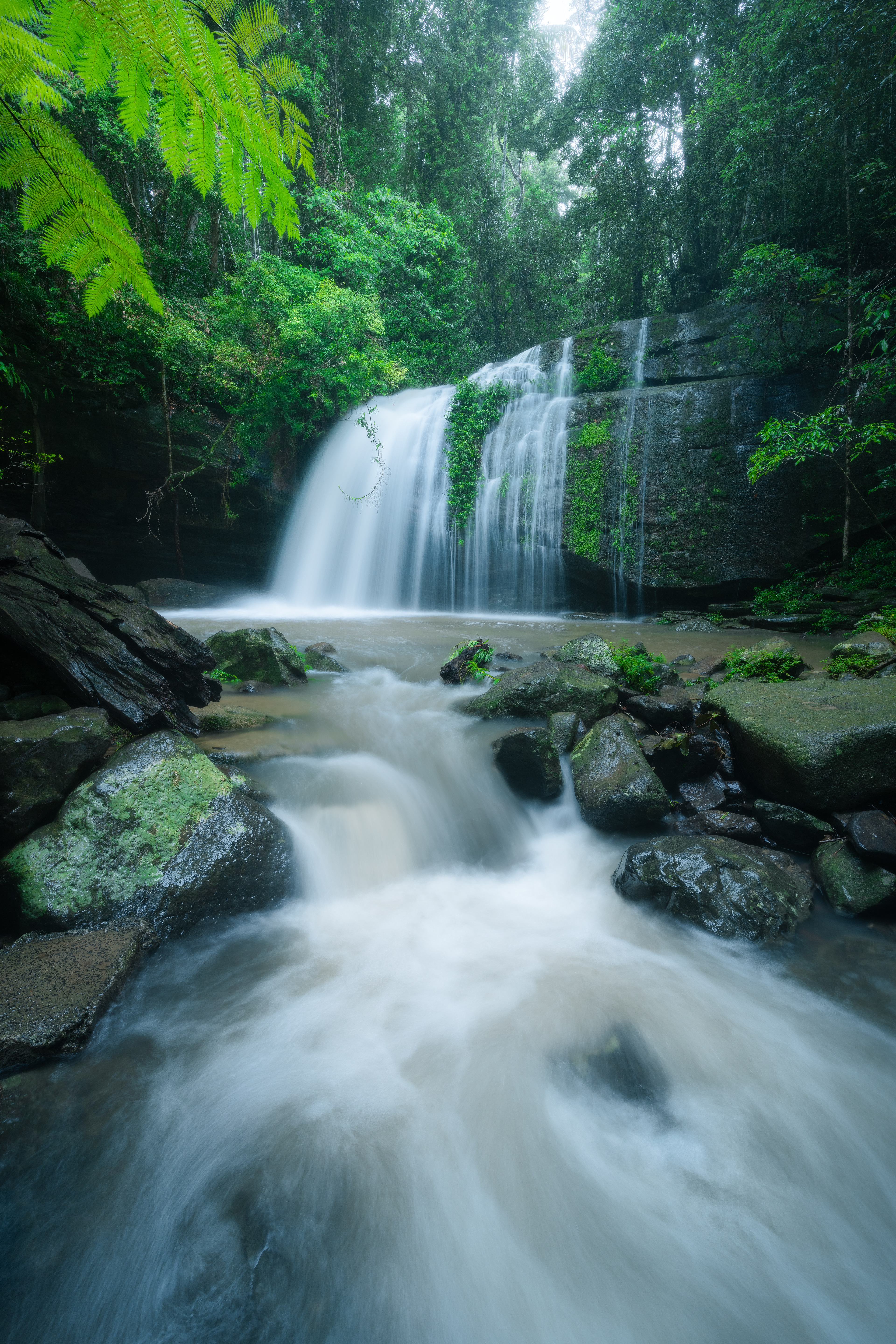Buderim Falls