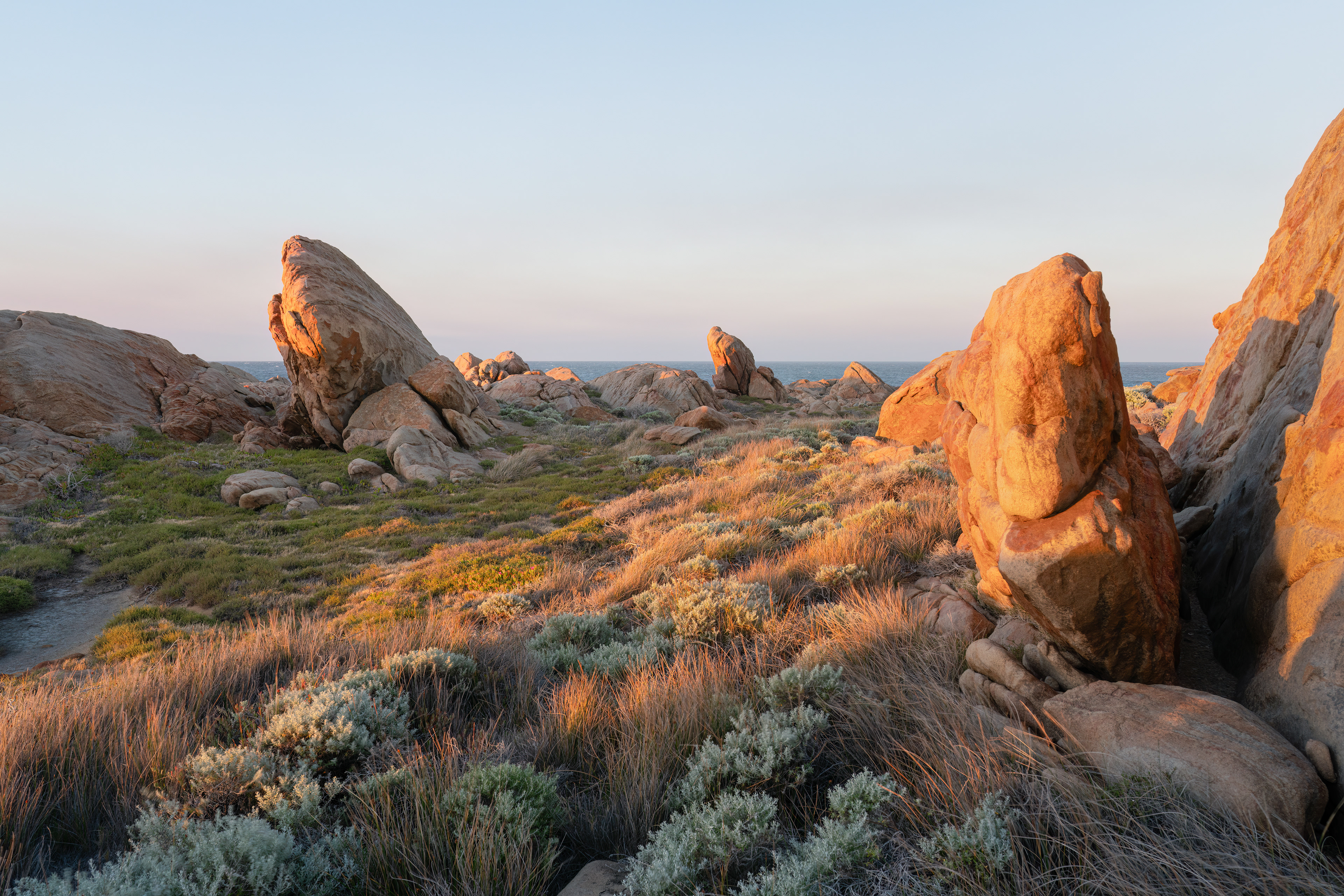 Capre Naturaliste Spires 01
