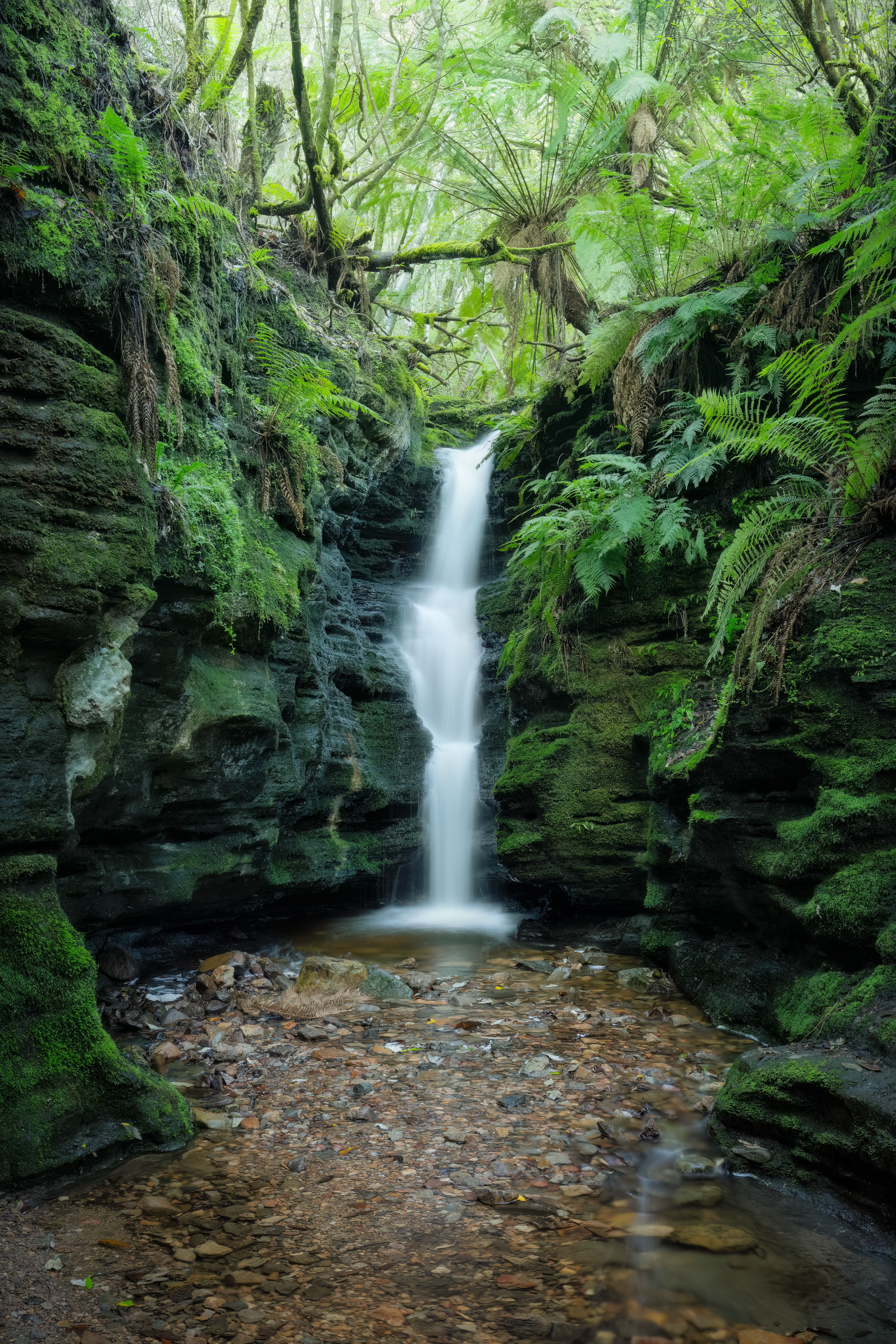 Secret Falls (2:3/4:5)