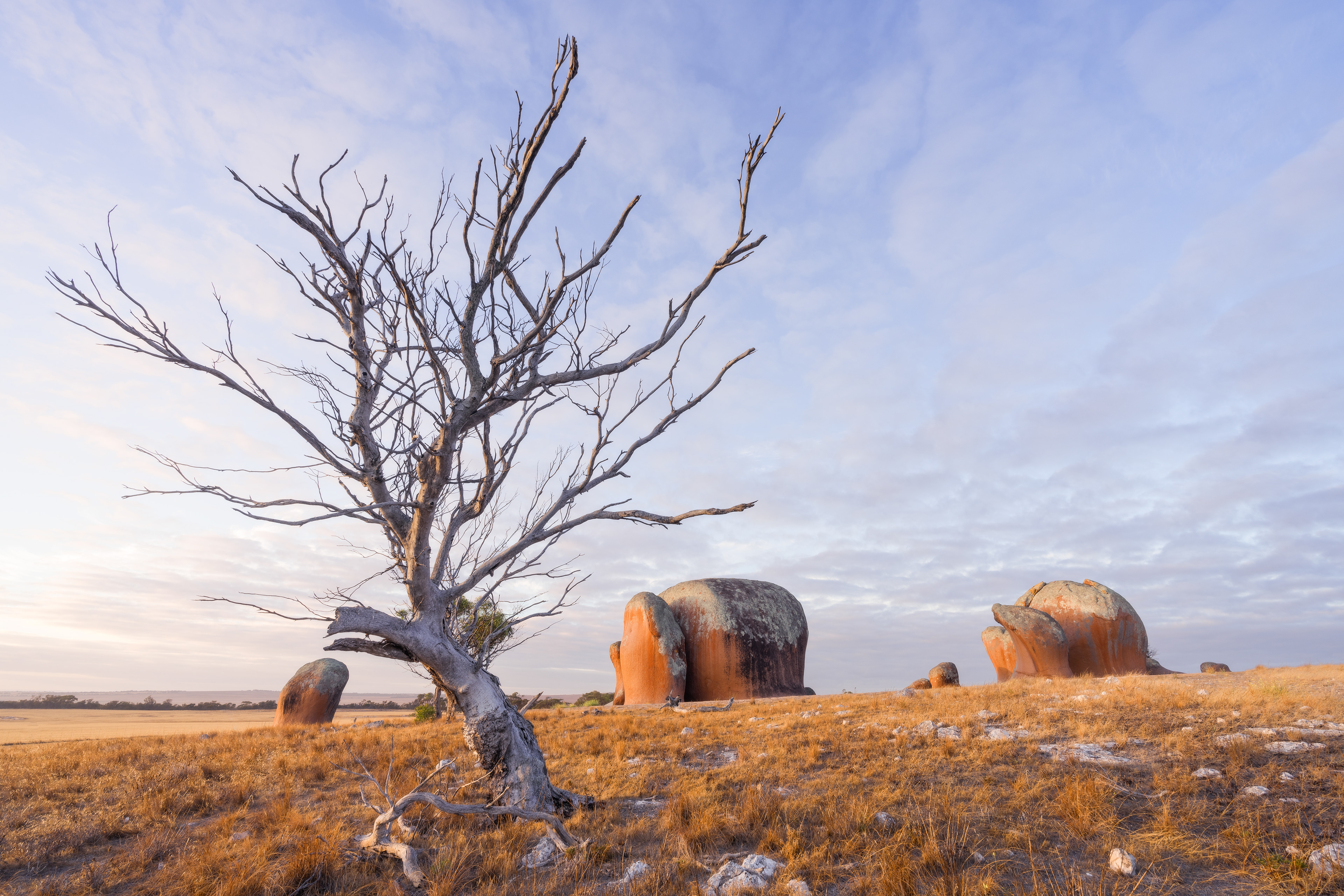 Murphys Haystacks 06