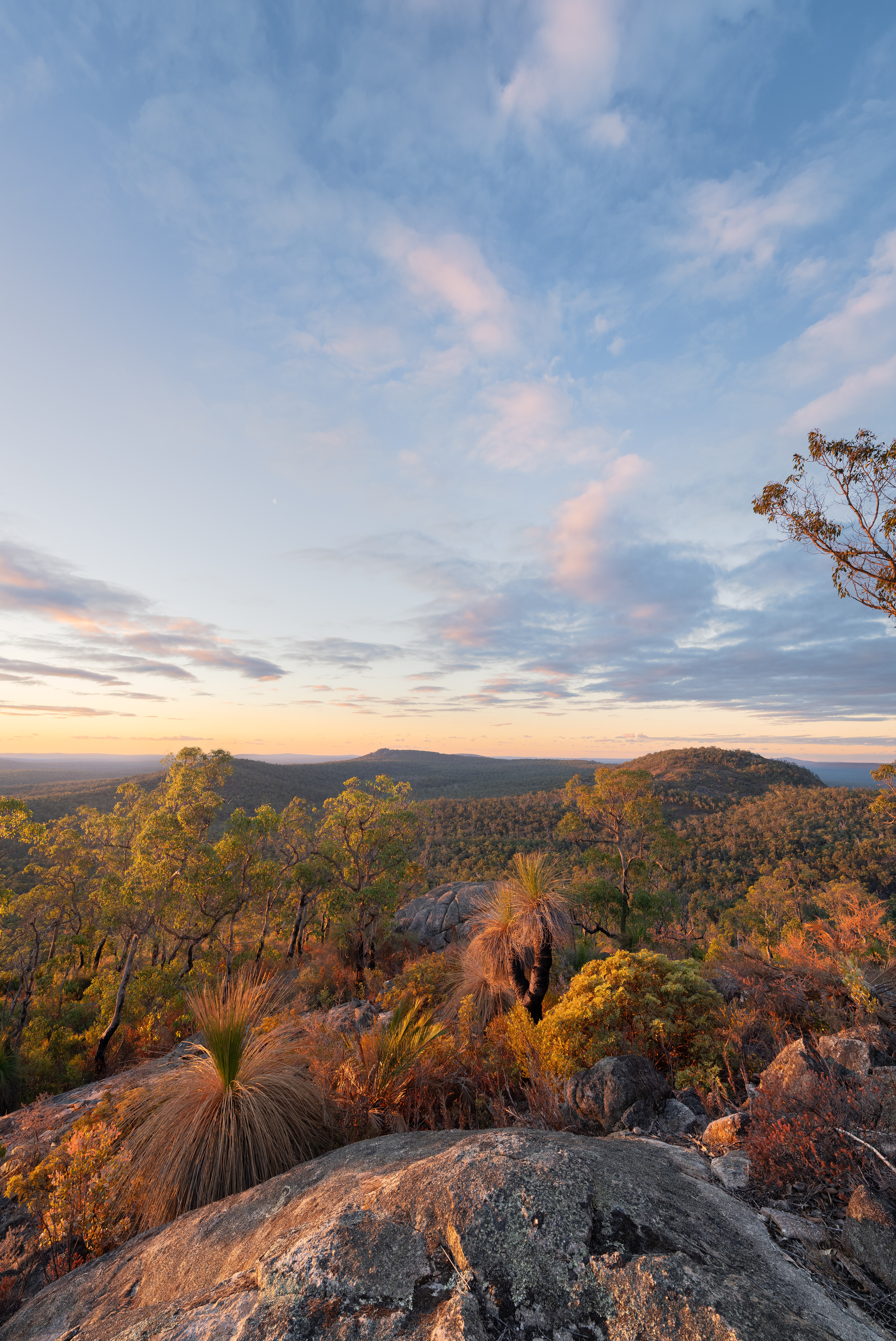 Mount Vincent (2:3)