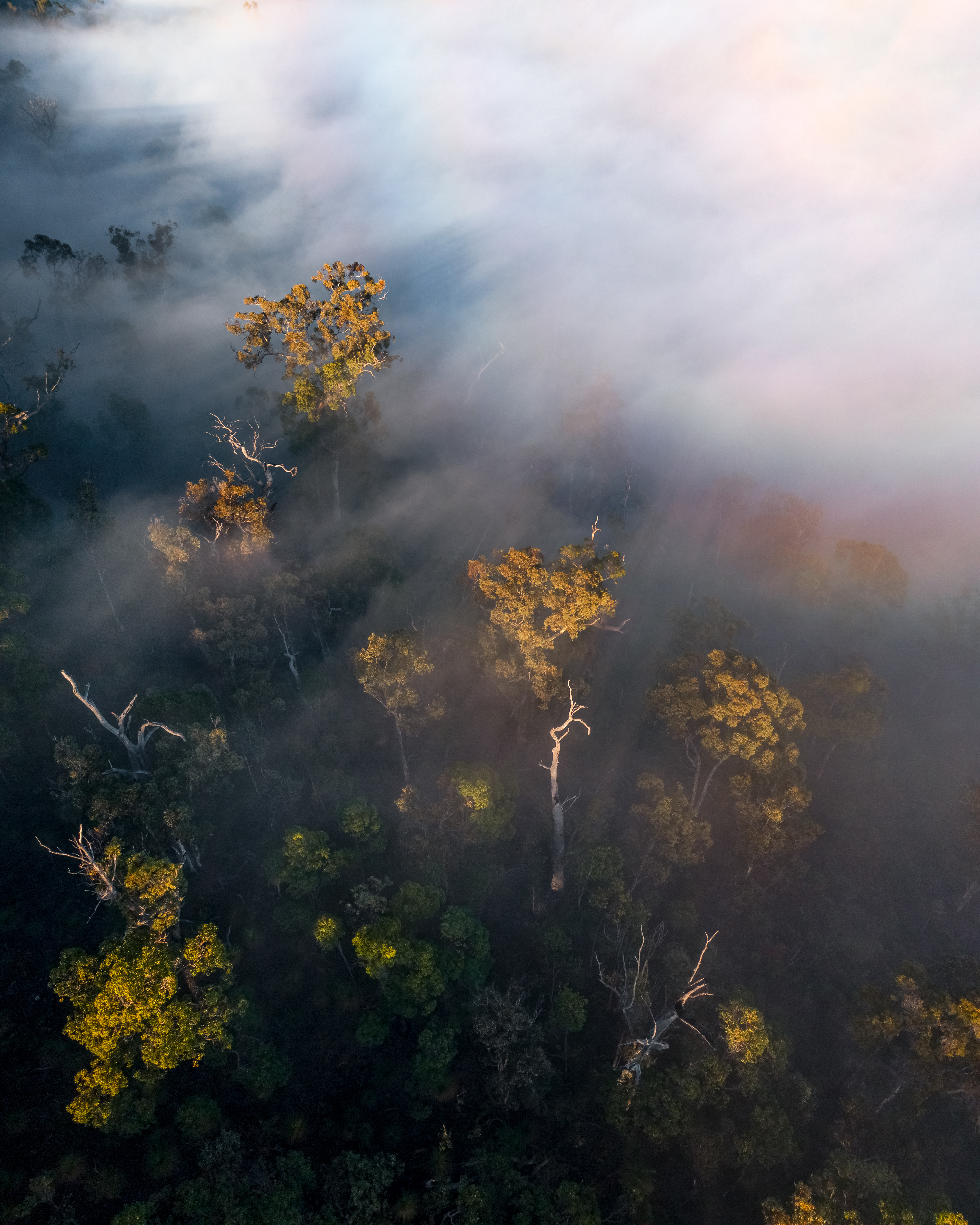 Perth Hills Aerial 03