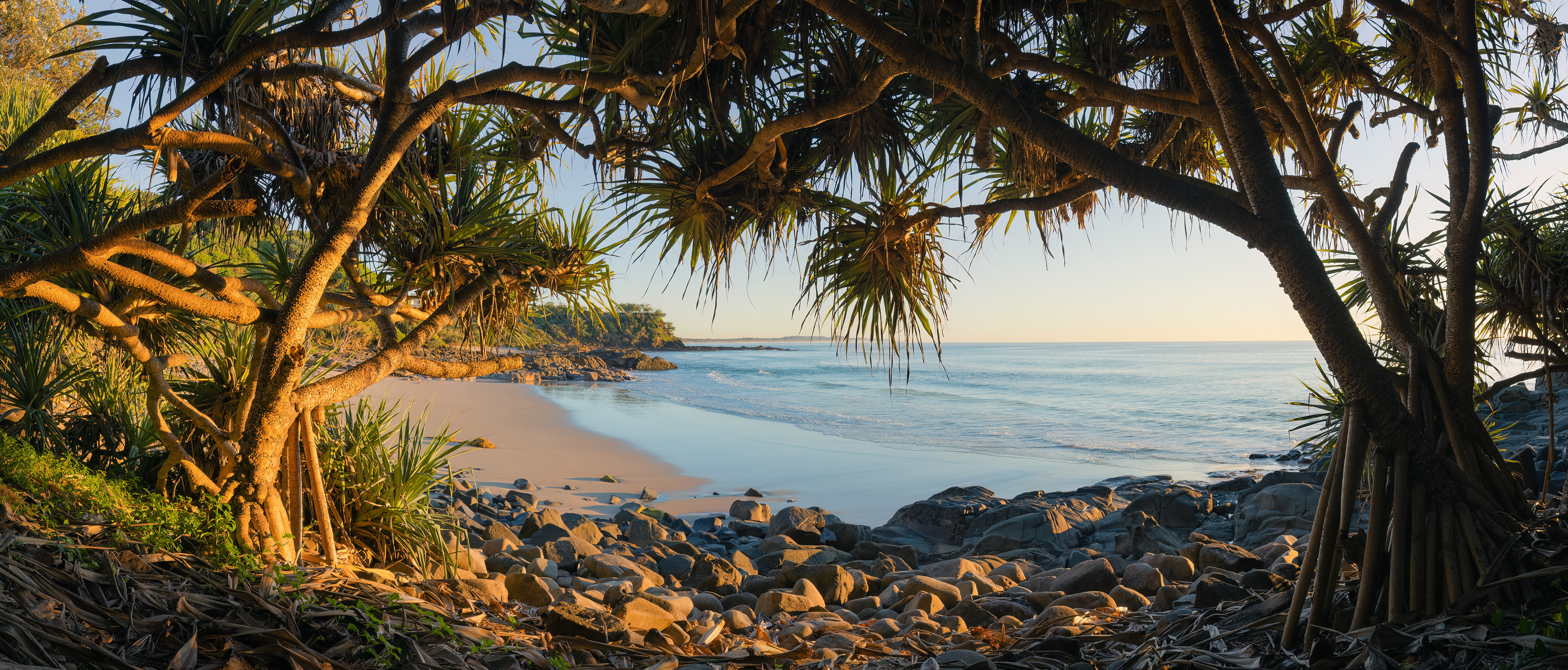 Coolum Pandanus Panoramic