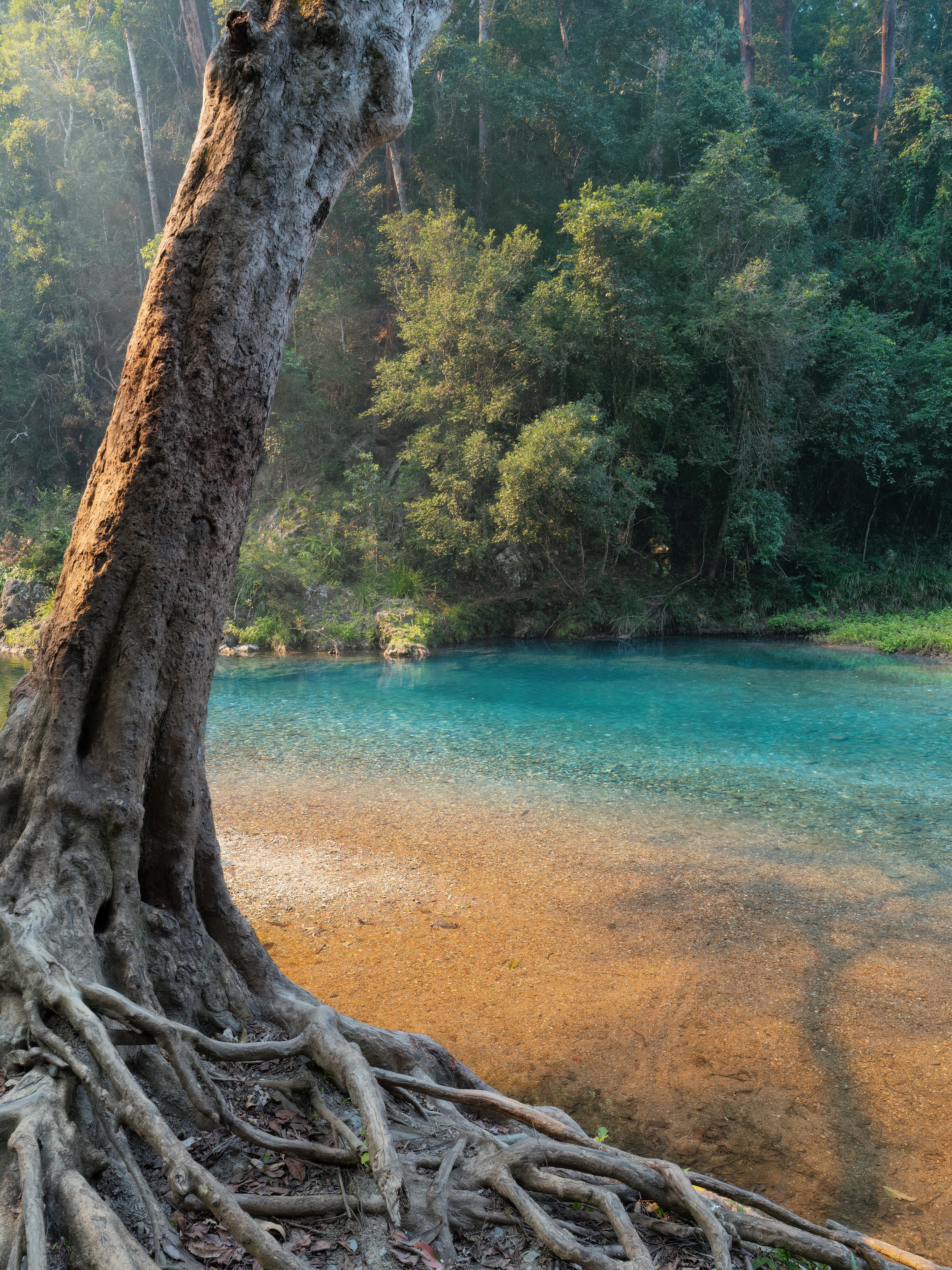 Booloumba Creek