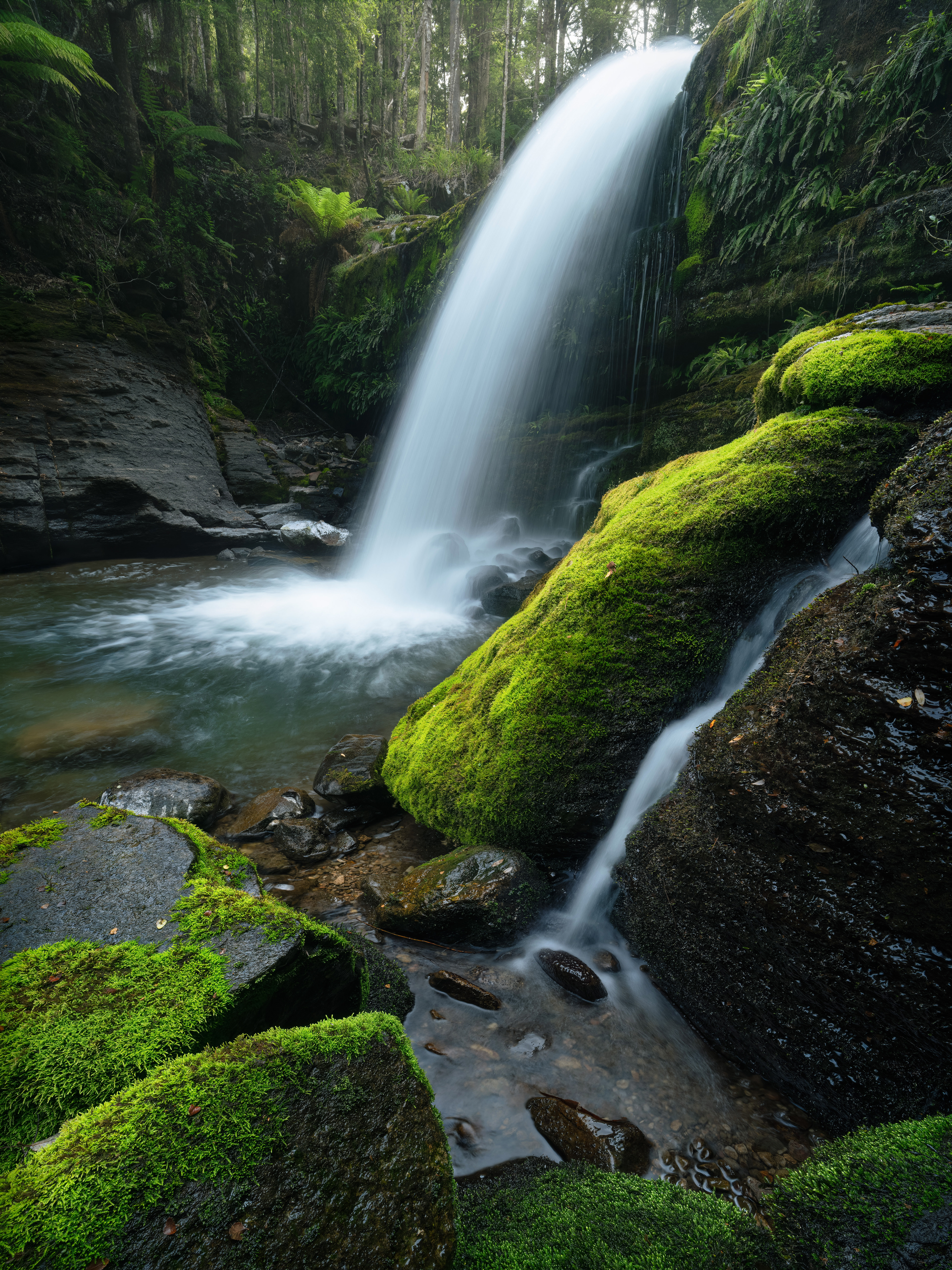 Liffey Falls