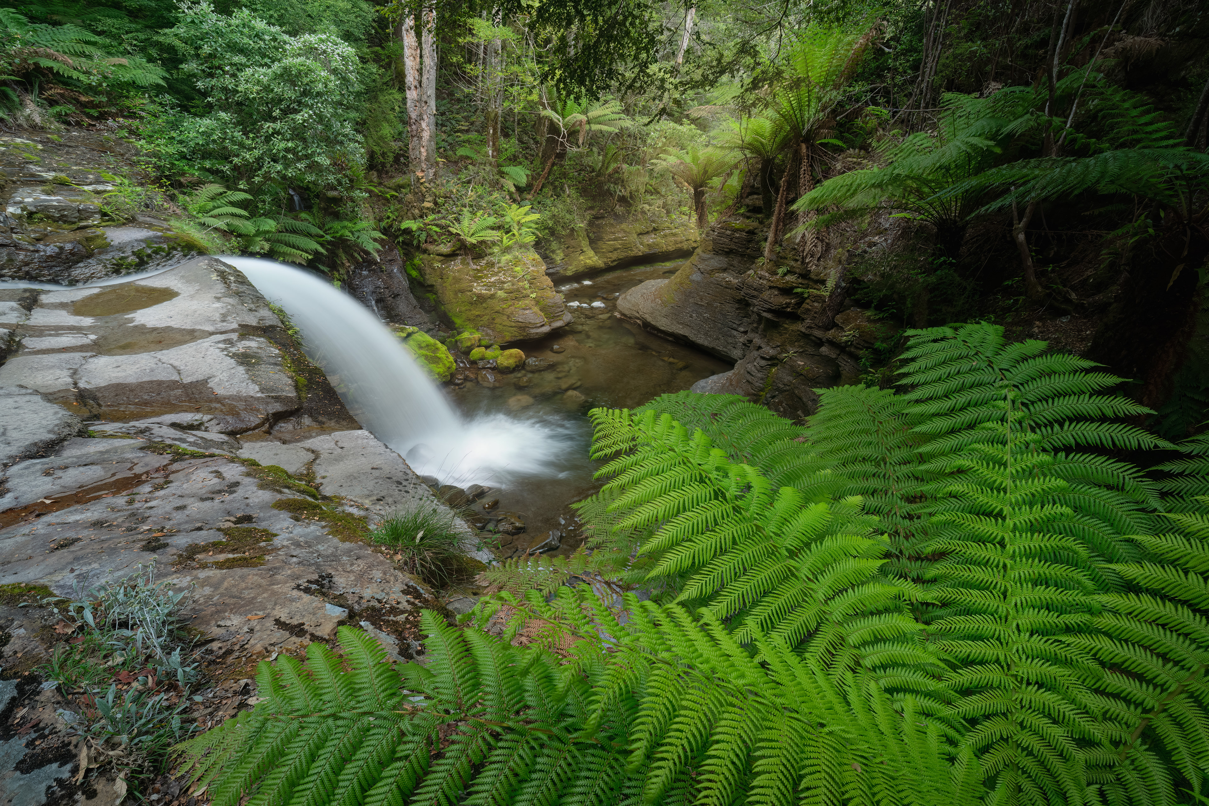Mid Liffey Falls