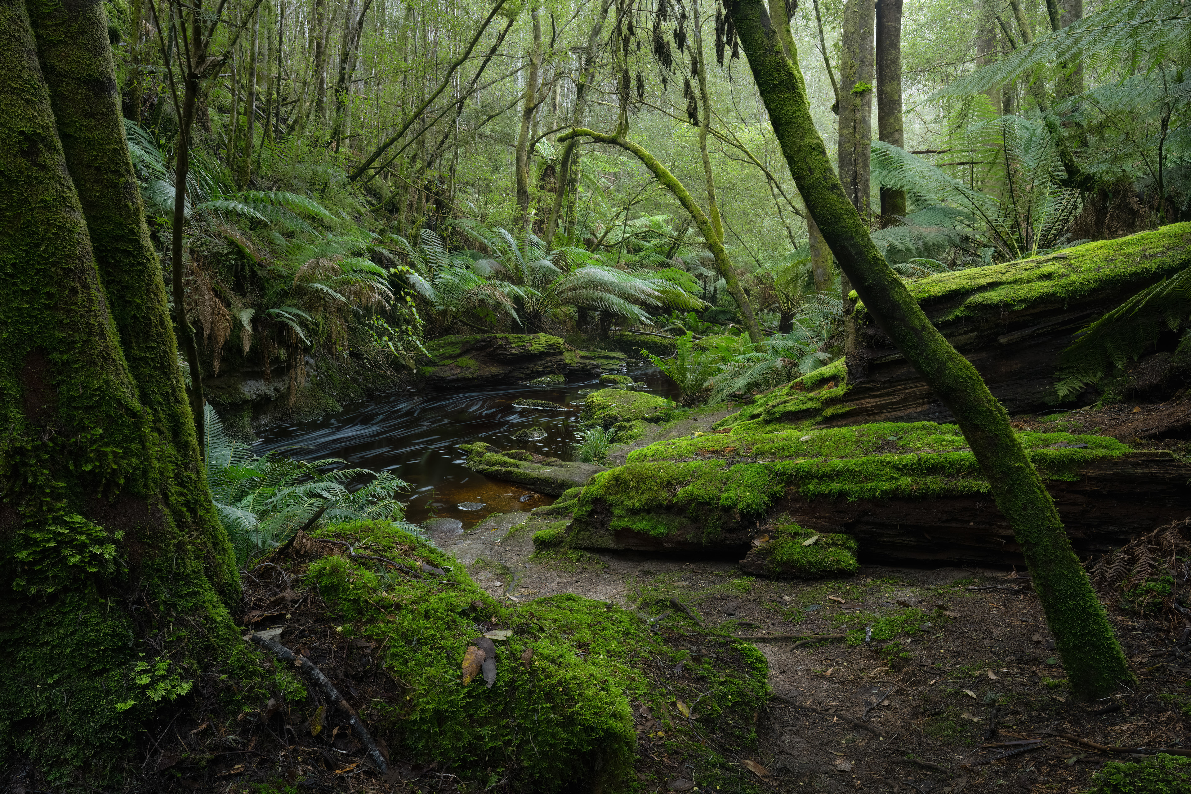 Snug River Serenity (2:3)