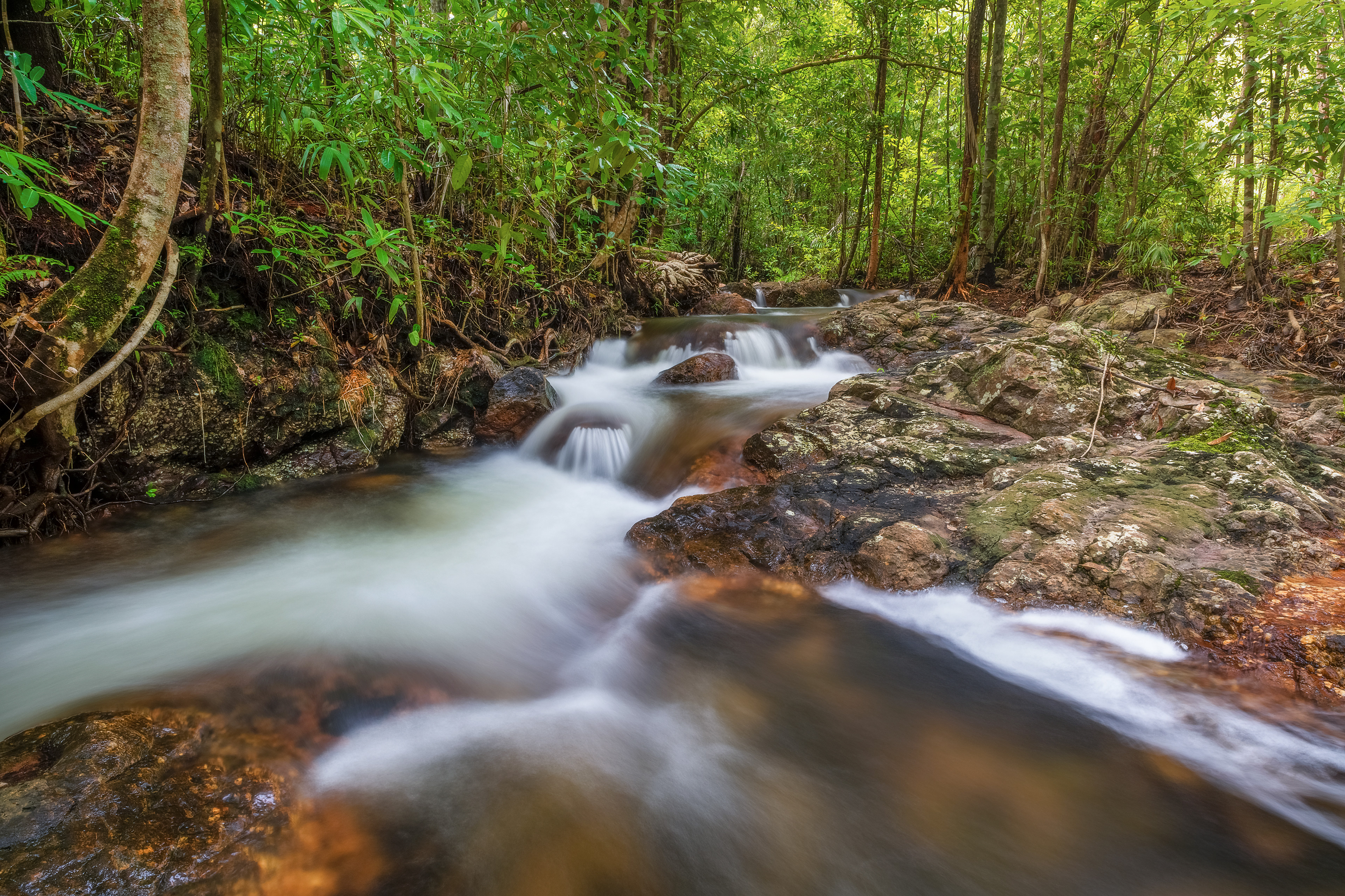Shady Creek, Litchfield National Park