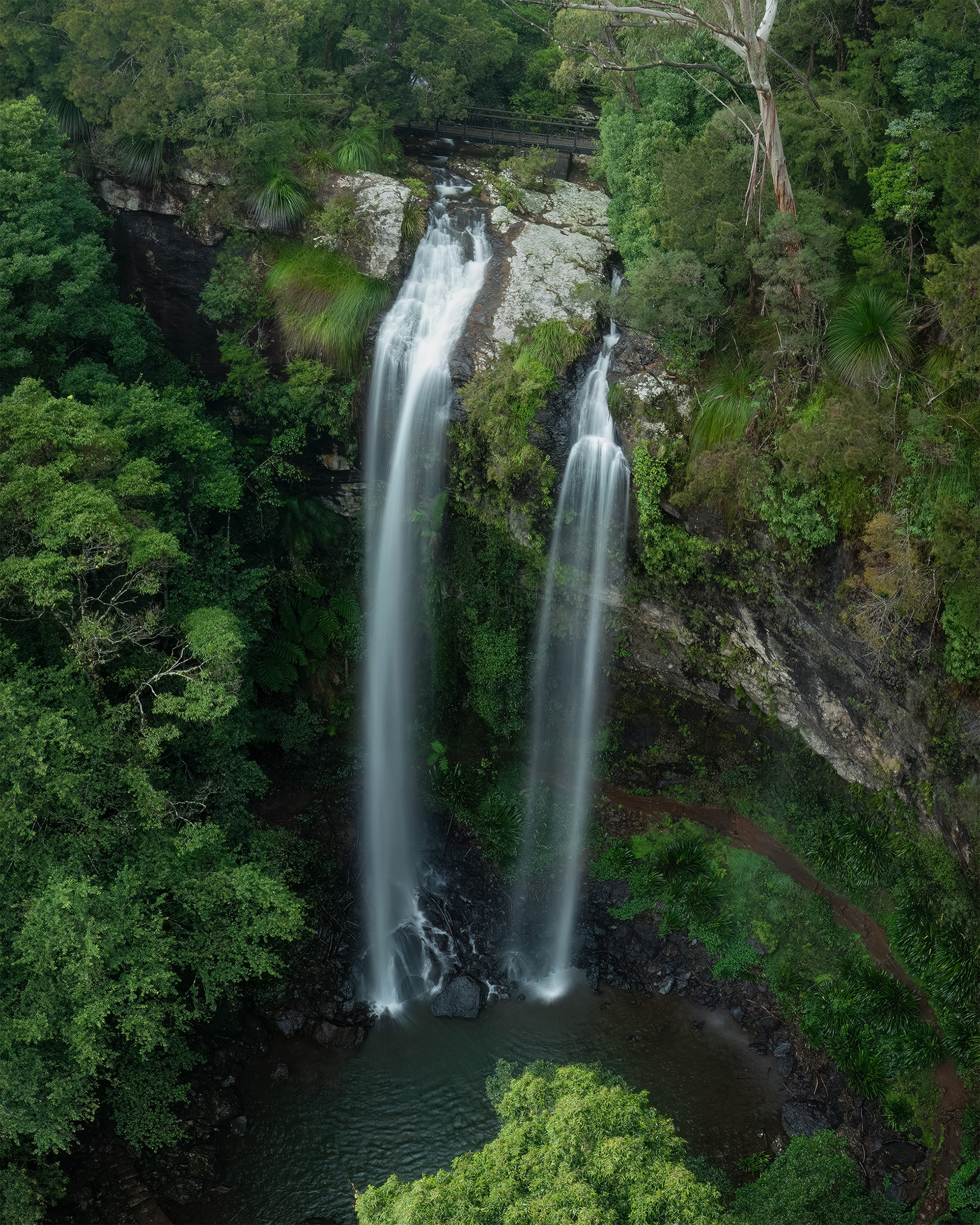 Springbrook waterfalls